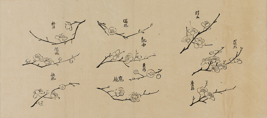 折枝梅花稿(7) 齐白石 24x53     折枝梅花稿(7) 齐白石 24x53