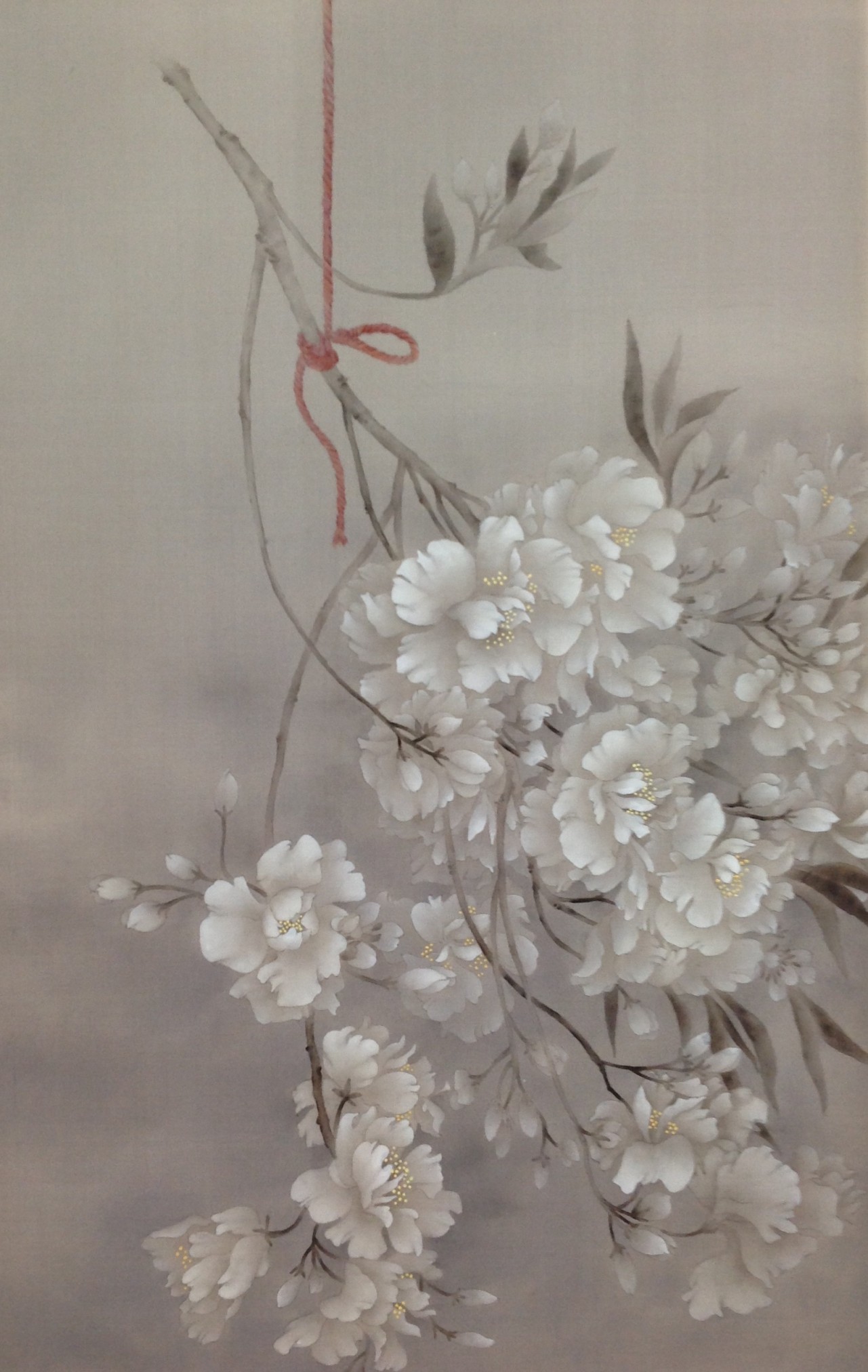 红绳之 桃花no1局部