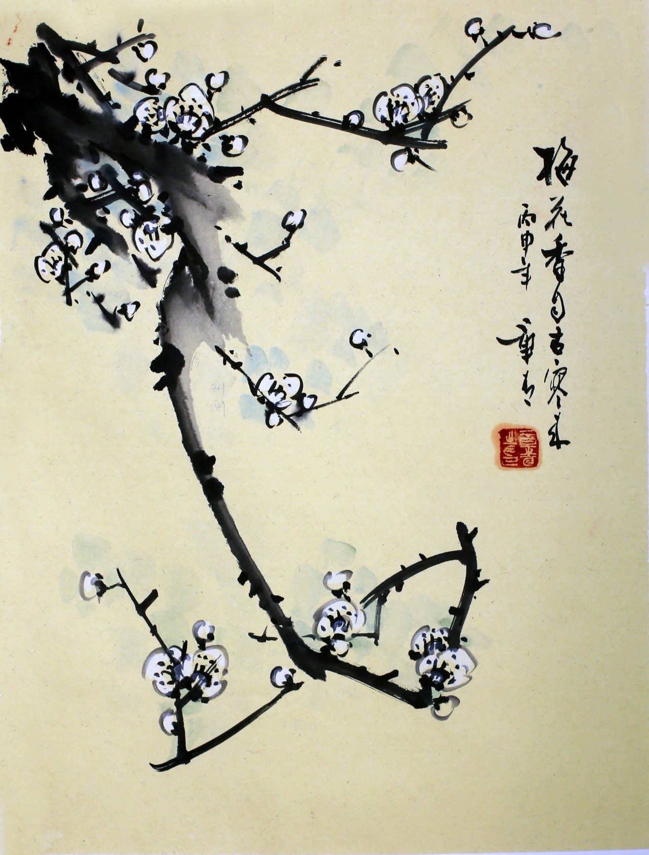 《梅花香自苦寒来》3