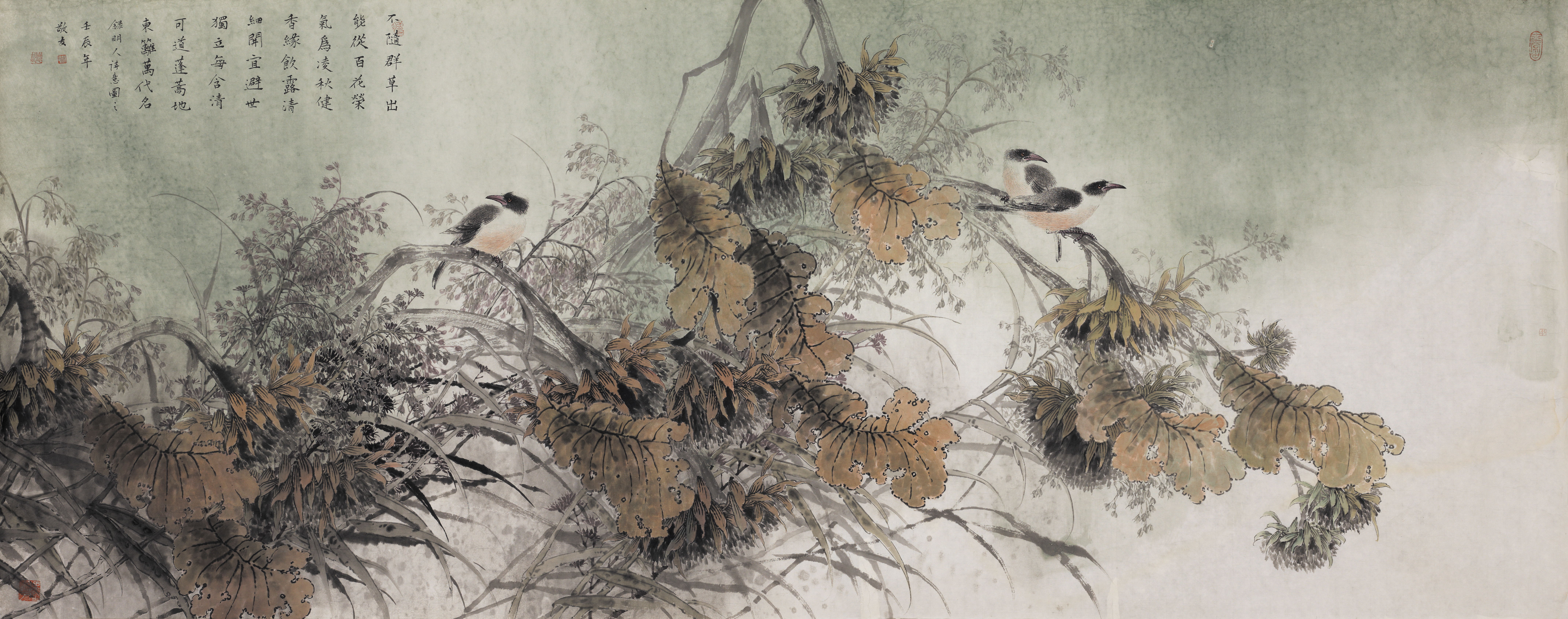 陈敬友 金英秋葵