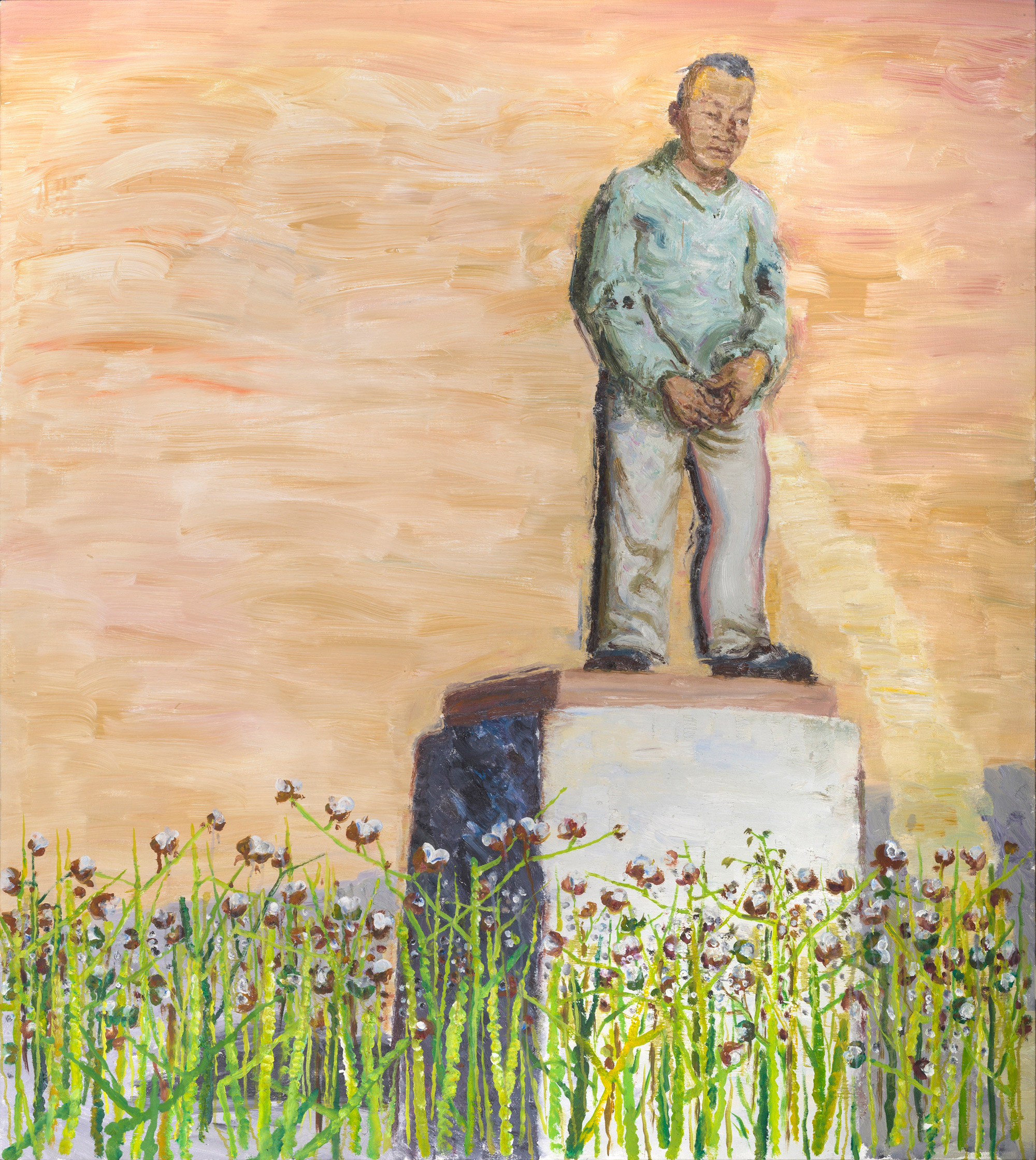 张炀 棉花田系列8号