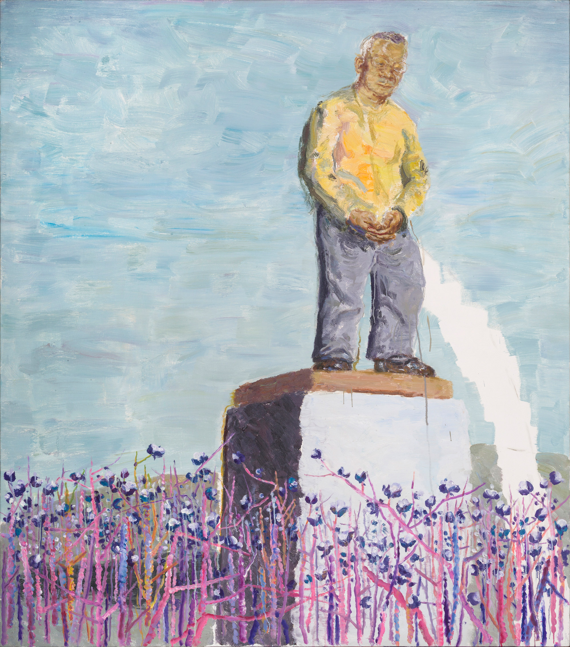 张炀 棉花田系列9号