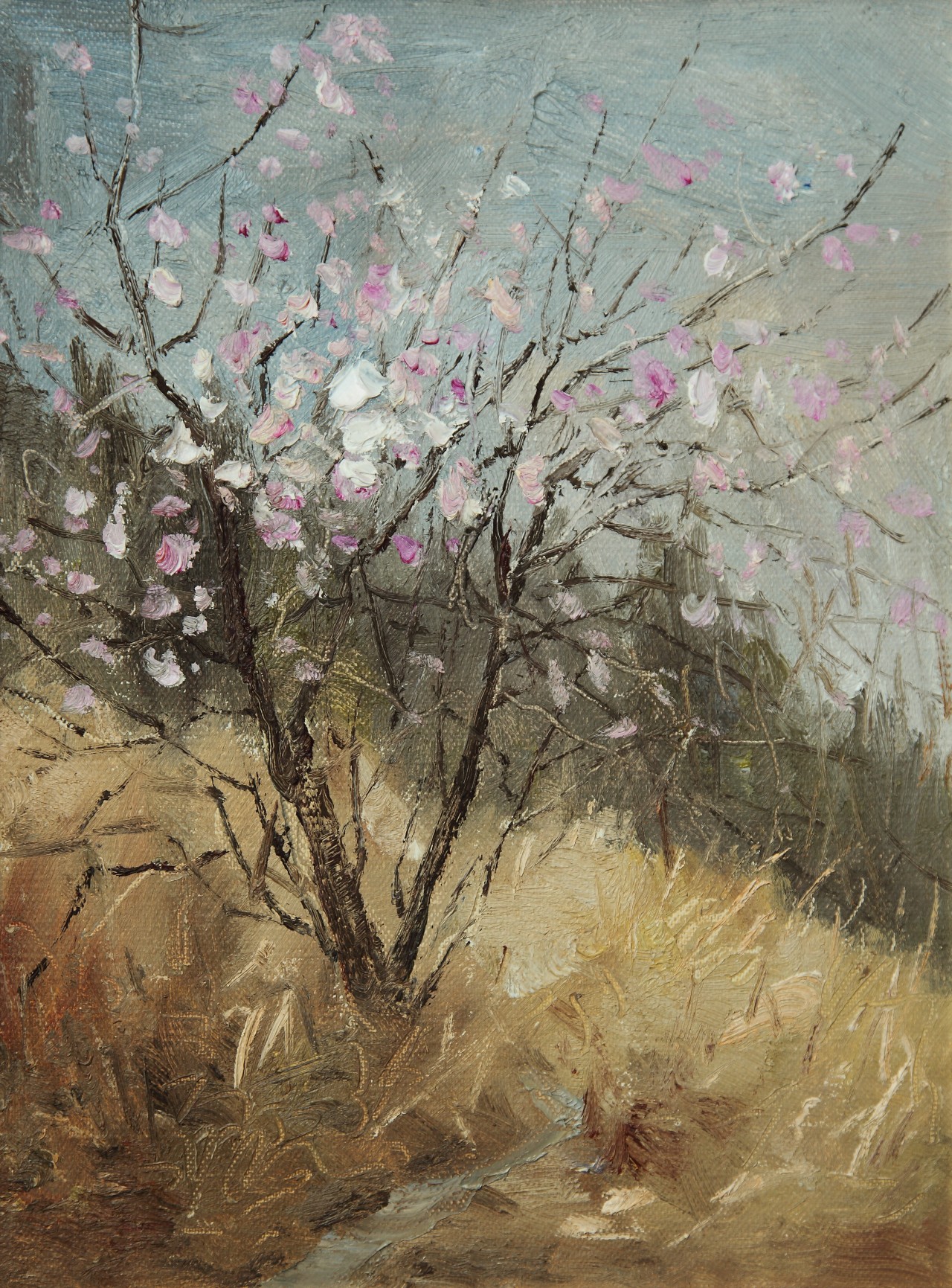 《桃花迎春》30x40cm-石晓伟风景油画-布面(2014年作】石晓伟风景