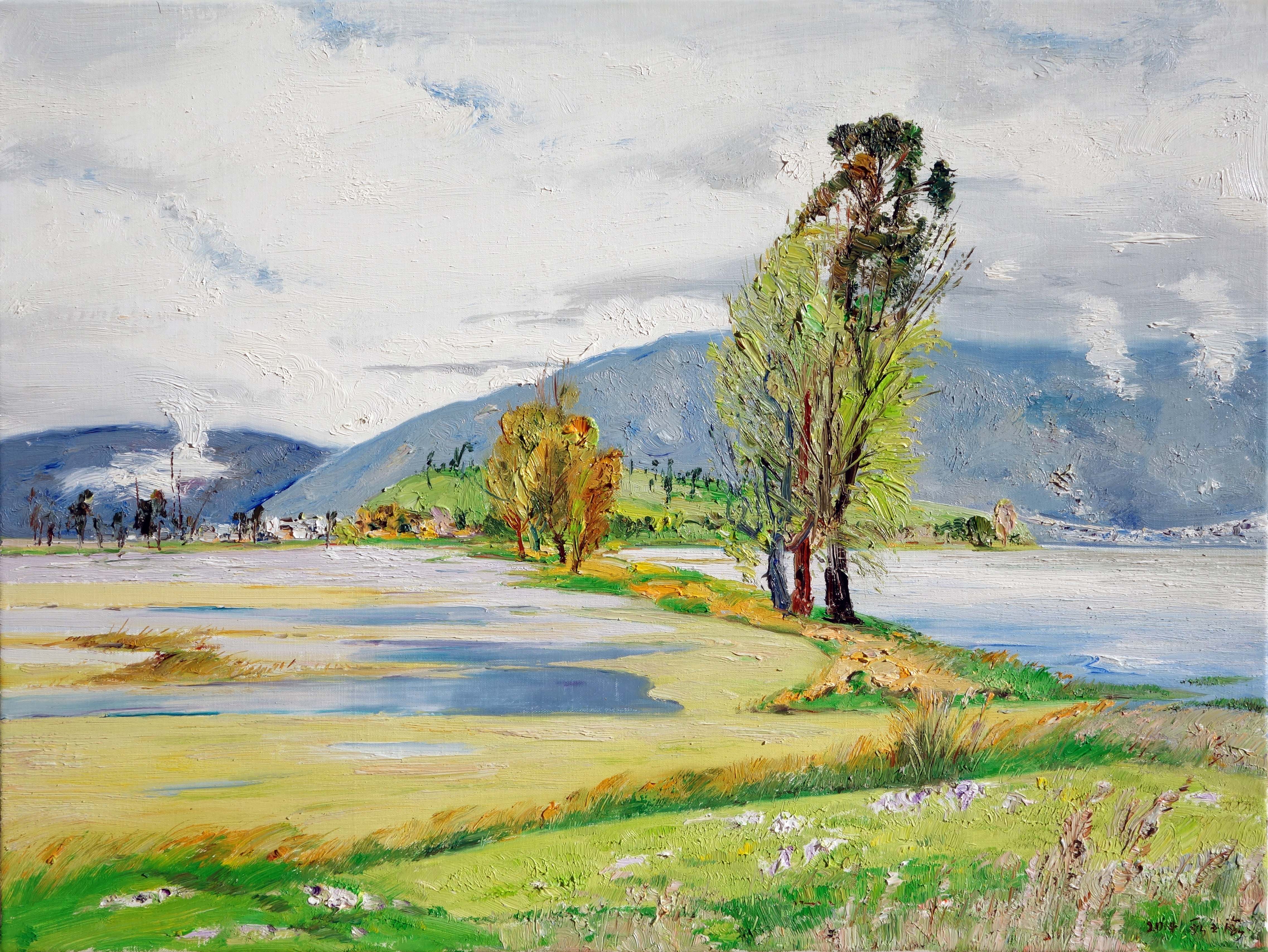 段玉海 《雨后的银梭岛》