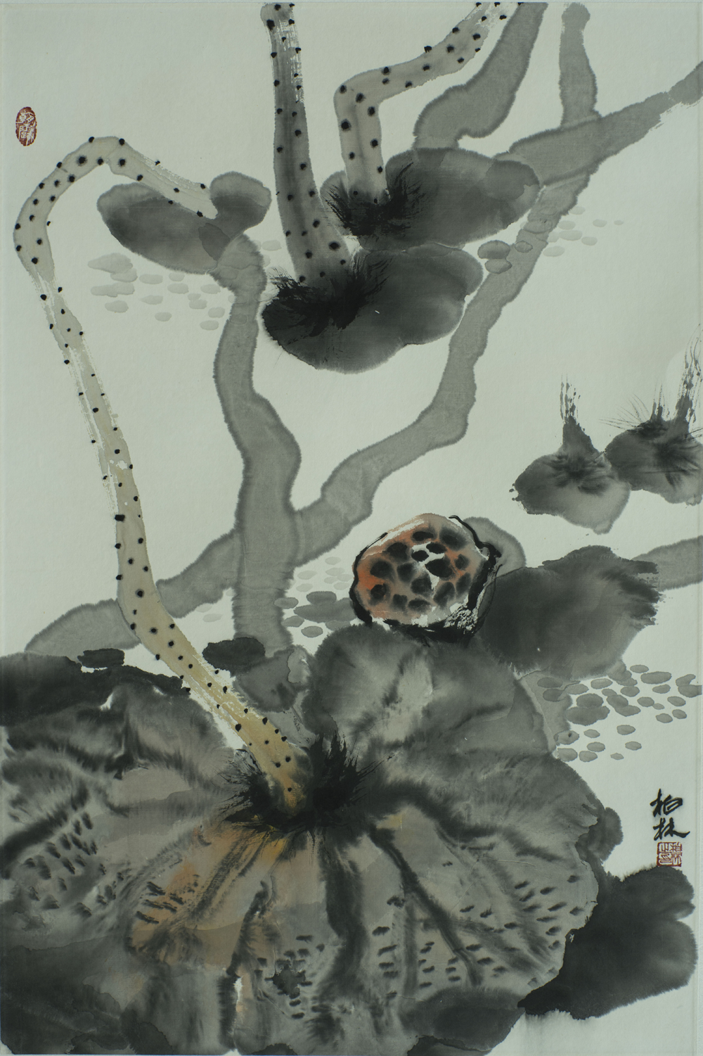 【冰荷系列4-柏林花鸟国画-纸本(2015年作)】柏林冰荷-水墨画系列作品