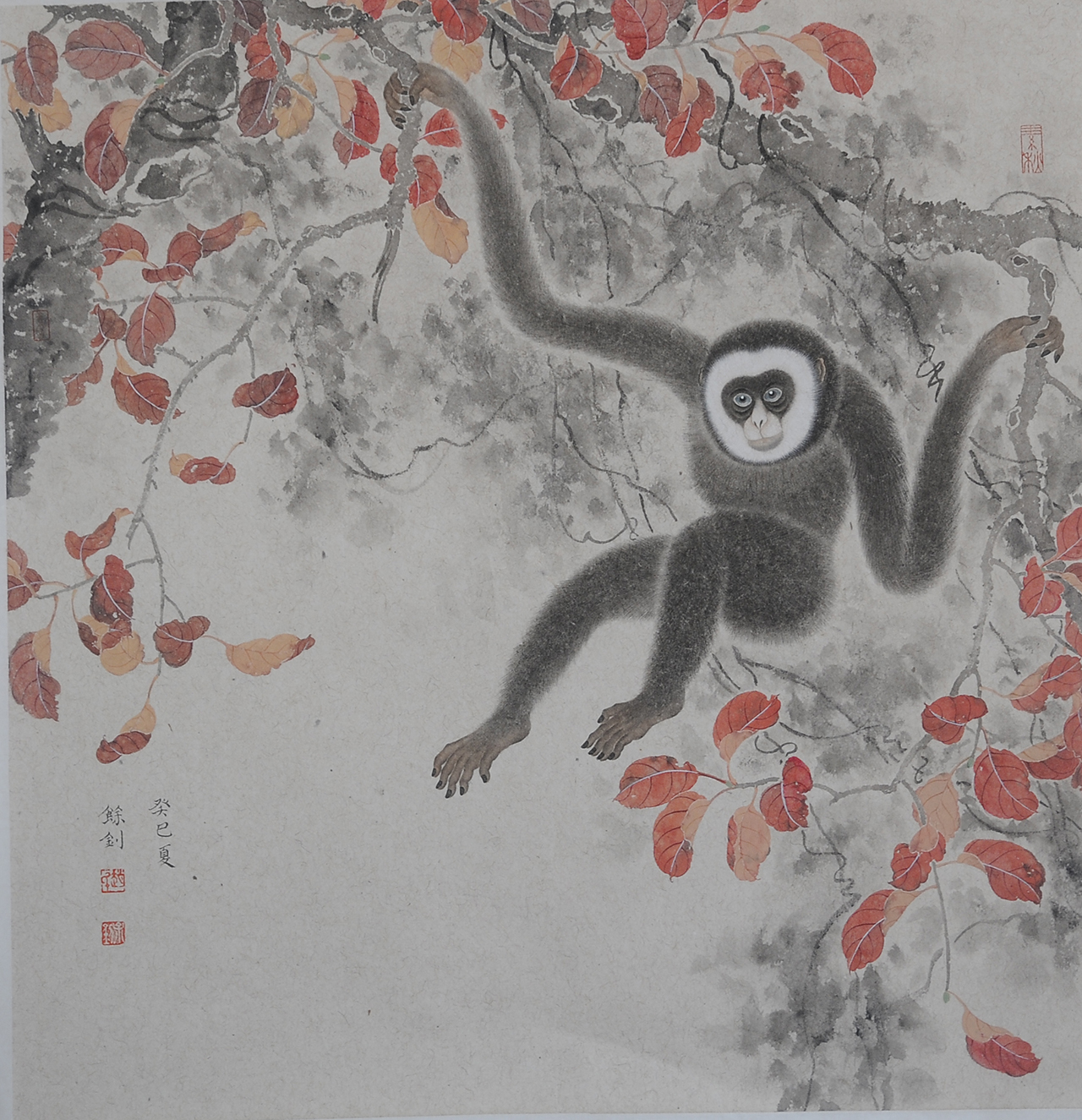 赵余钊《玄猿,纸本68×68cm,2013年