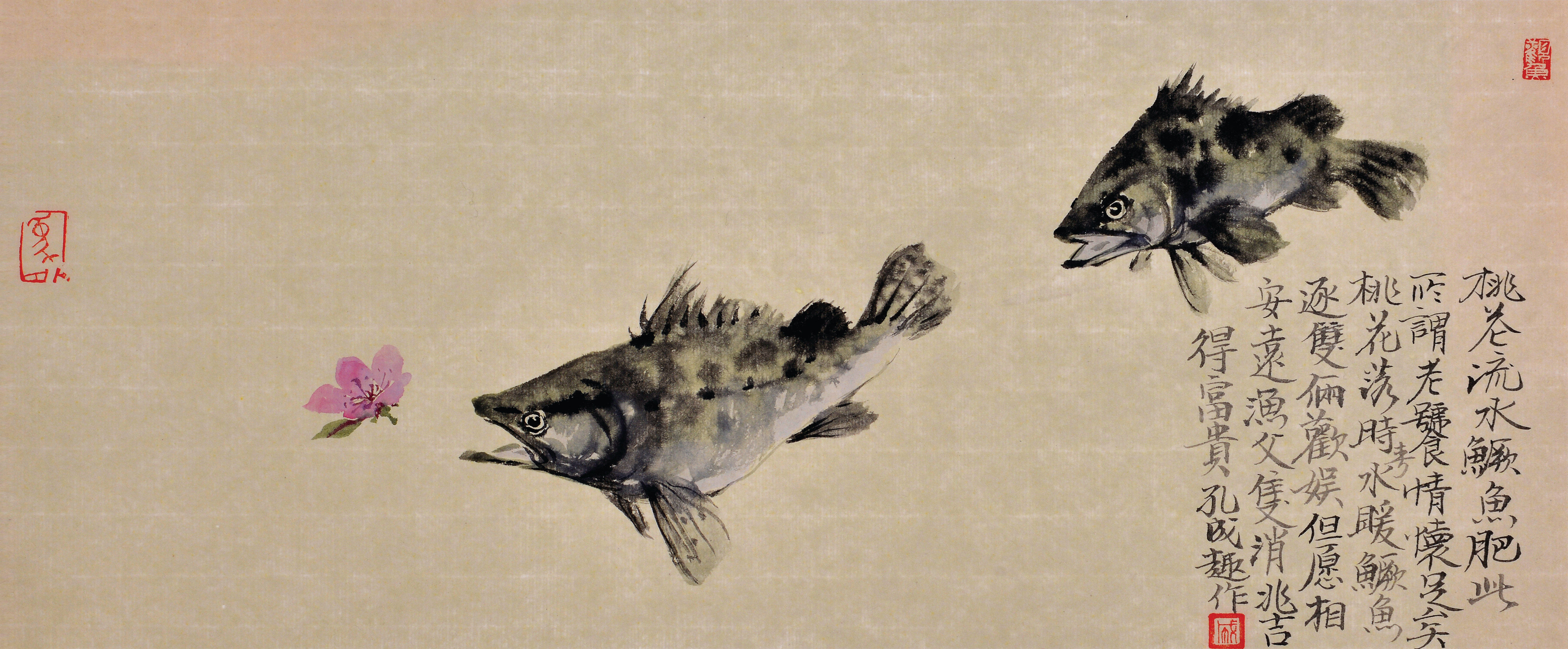 国画鳜鱼精品图片