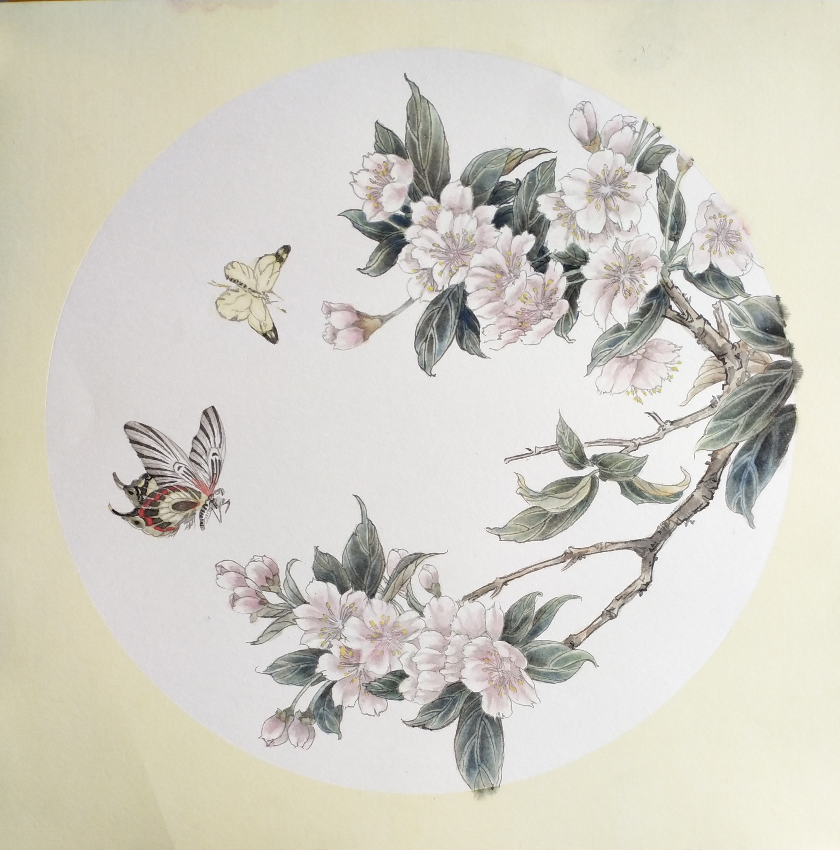 姜玉春 海棠依旧