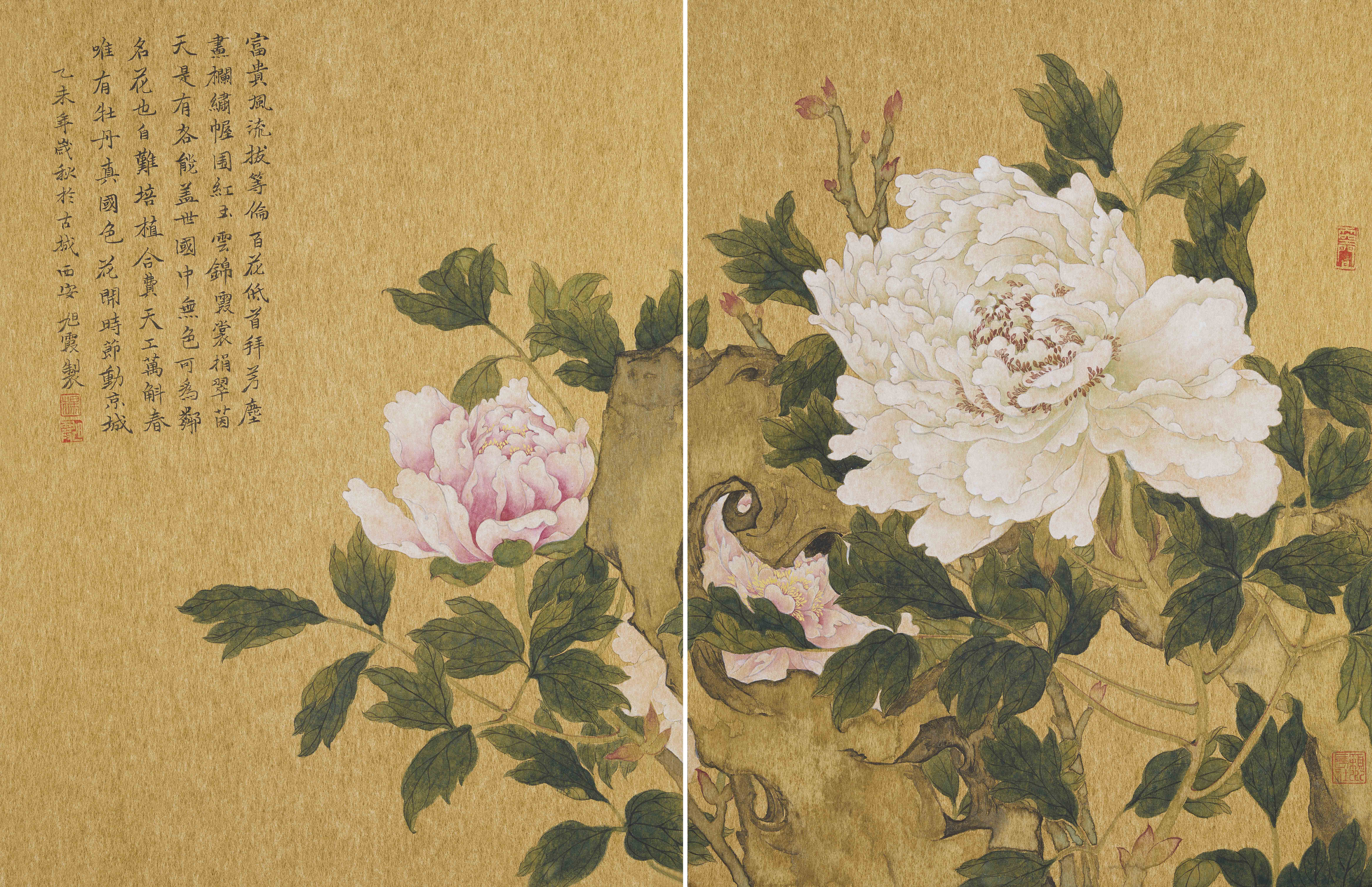 杨旭霞 富贵牡丹