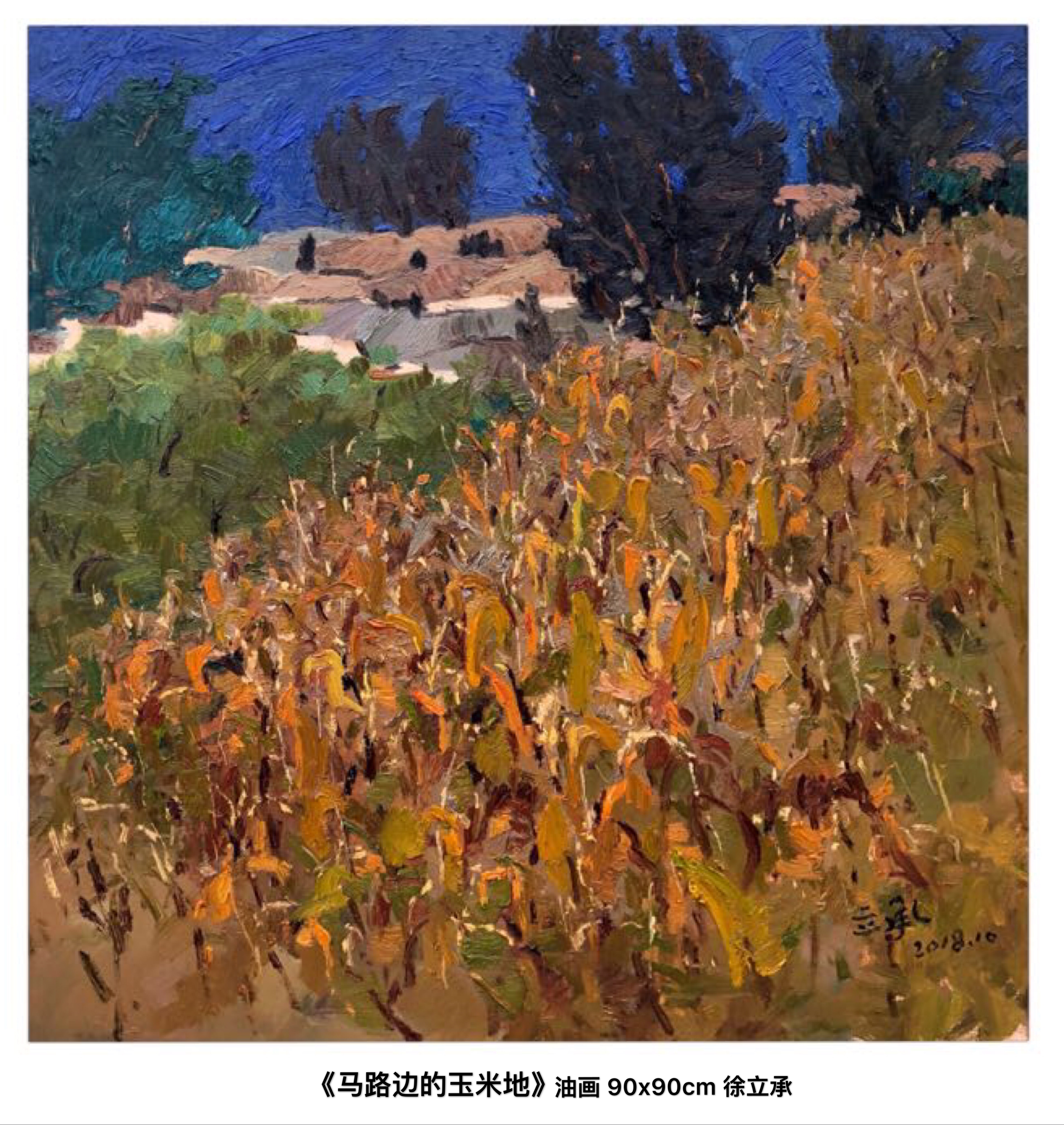 徐立承 马路边的玉米地