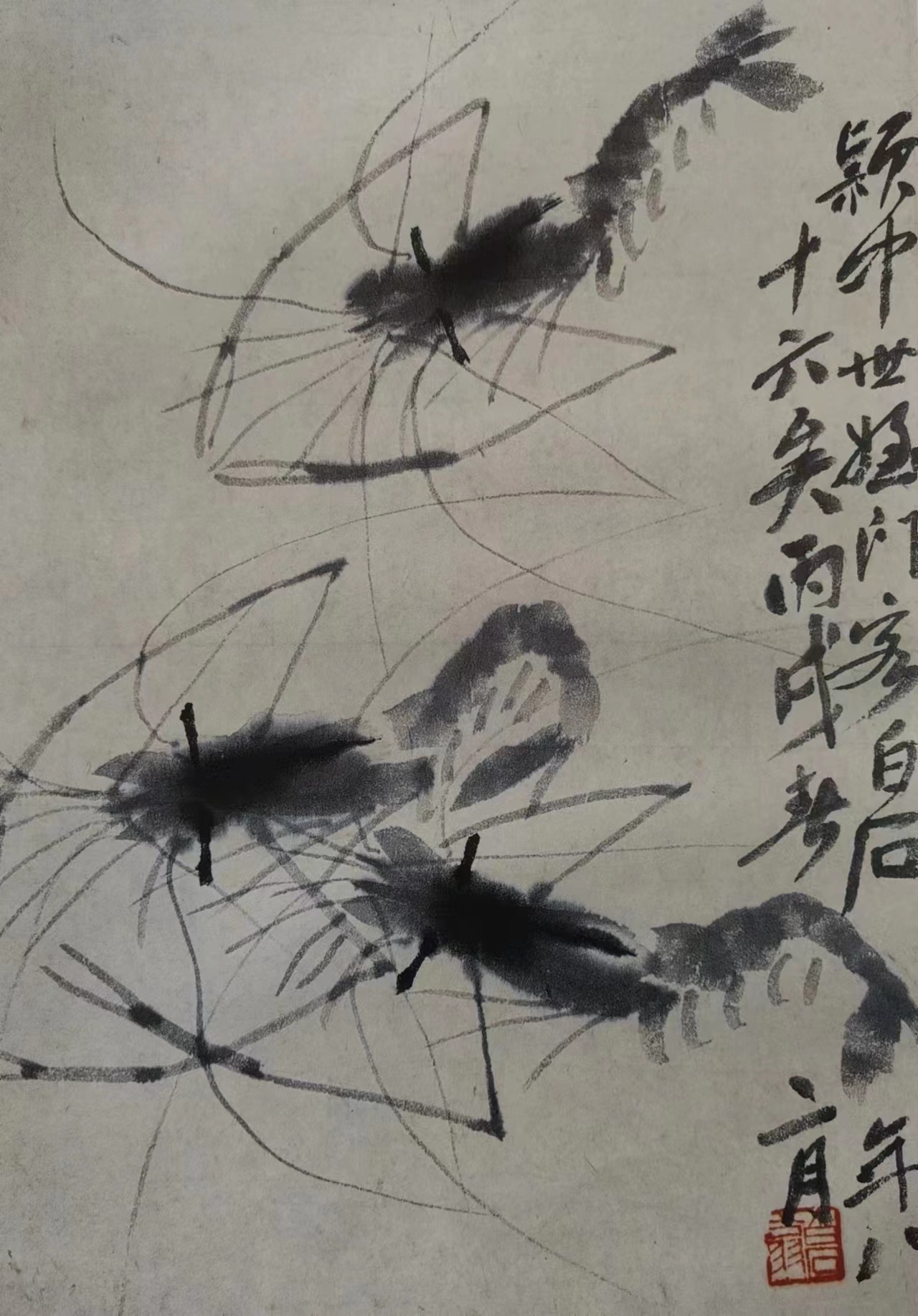 虾水墨丙戊年二月齐白石 作泰戈尔像水墨画51x50cm徐悲鸿纪念馆藏