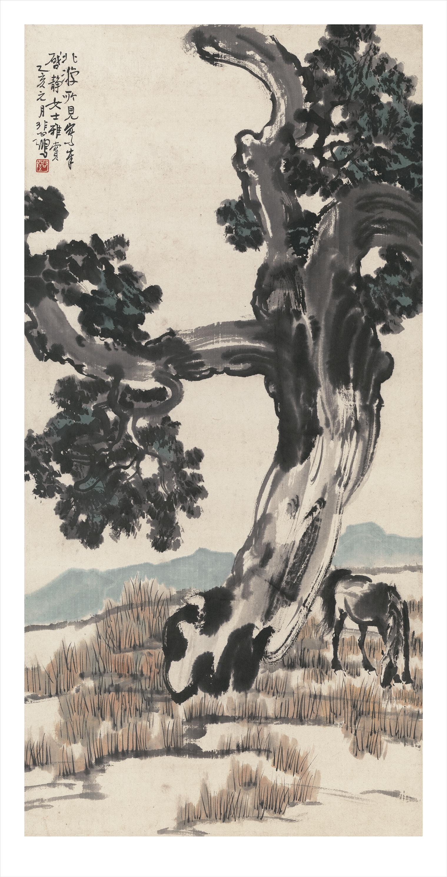 《徐悲鸿 柏树马》203/299