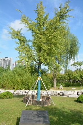 https://img10.artimg.net/public/beian/jpg/202211/a10d6a417f35b06a2e49e921959beccd.jpg