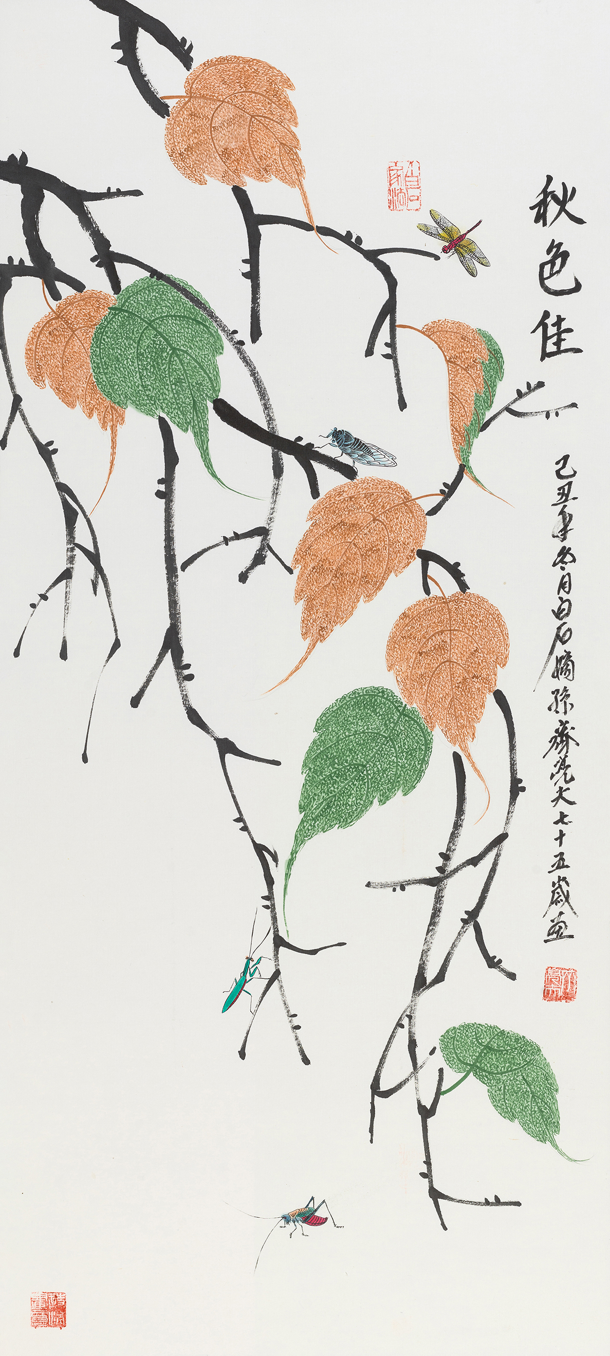 秋色佳 YC130