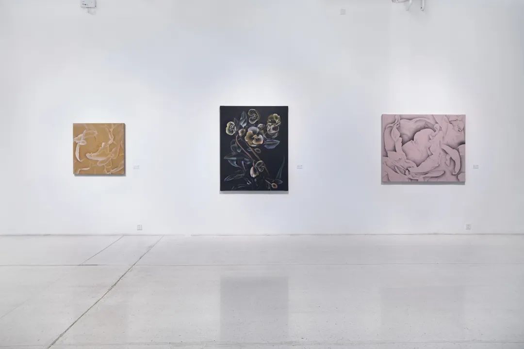 https://img10.artimg.net/public/beian/jpg/202212/3c311b712c59df2b0063eb11135ed79d.jpg