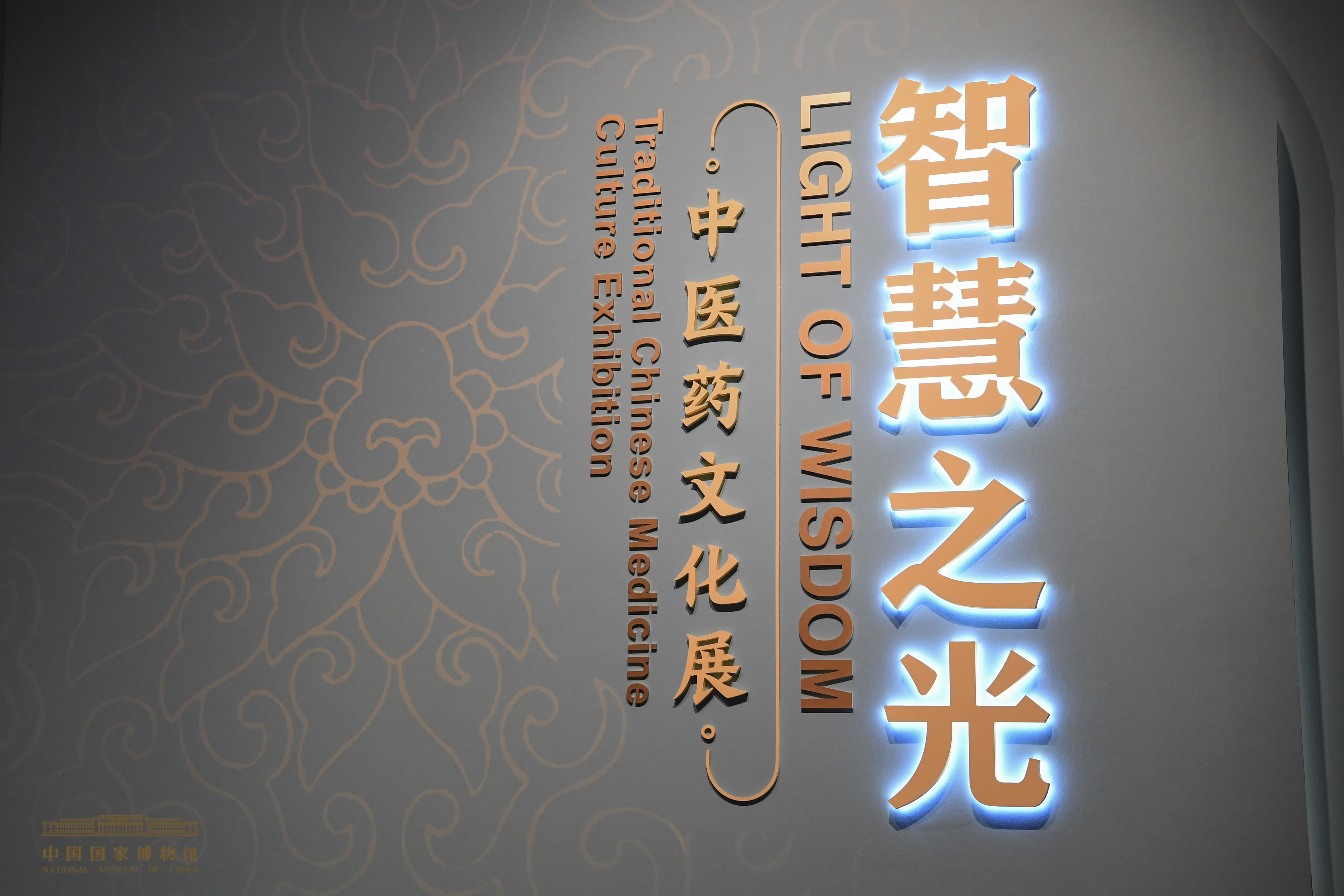 现场智慧之光中医药文化展在国家博物馆展出