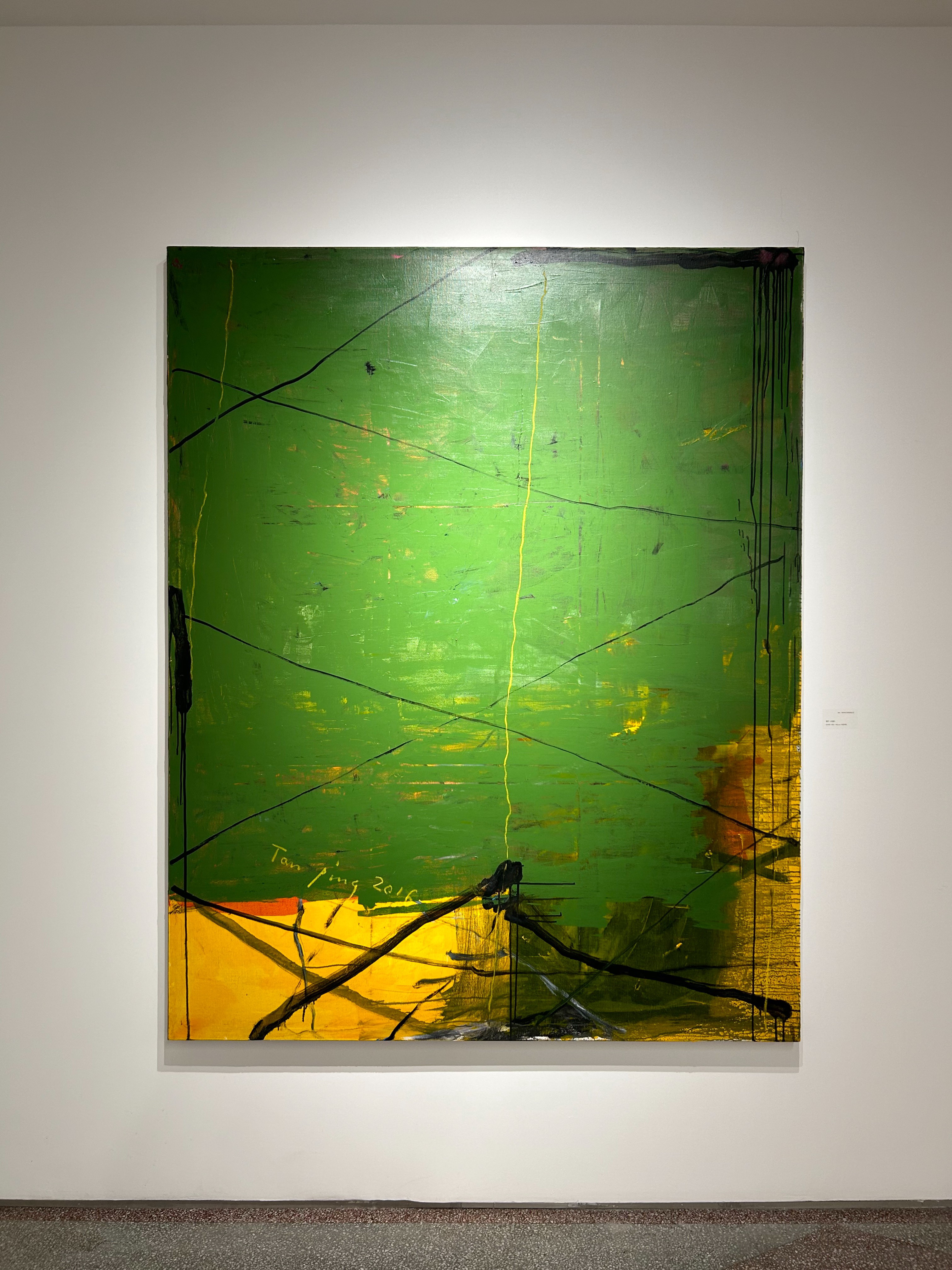 谭平-《无题》2016年|200x160cm|布面油画孟禄丁-《朱砂·雄黄·石青