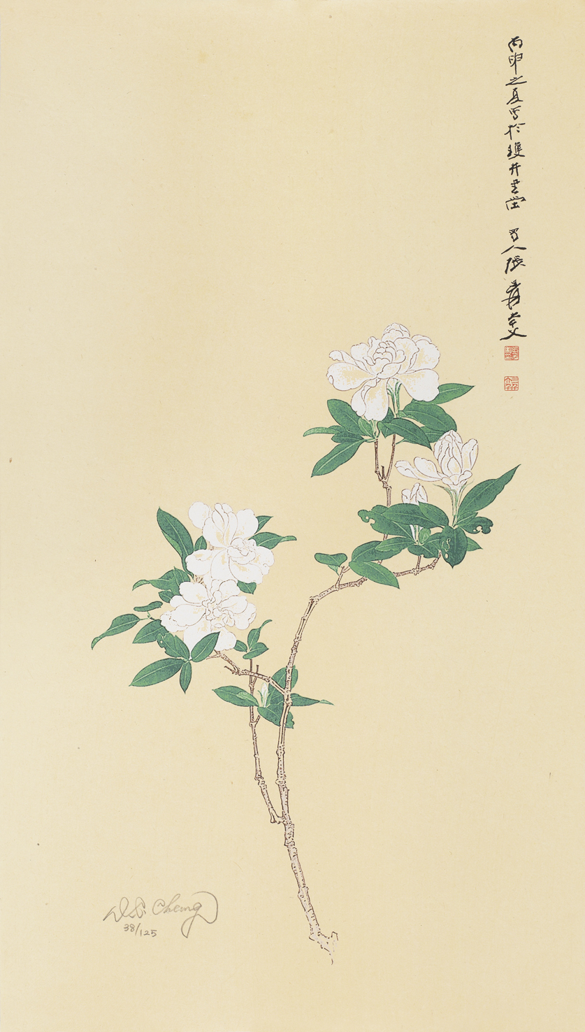 栀子花开38/125