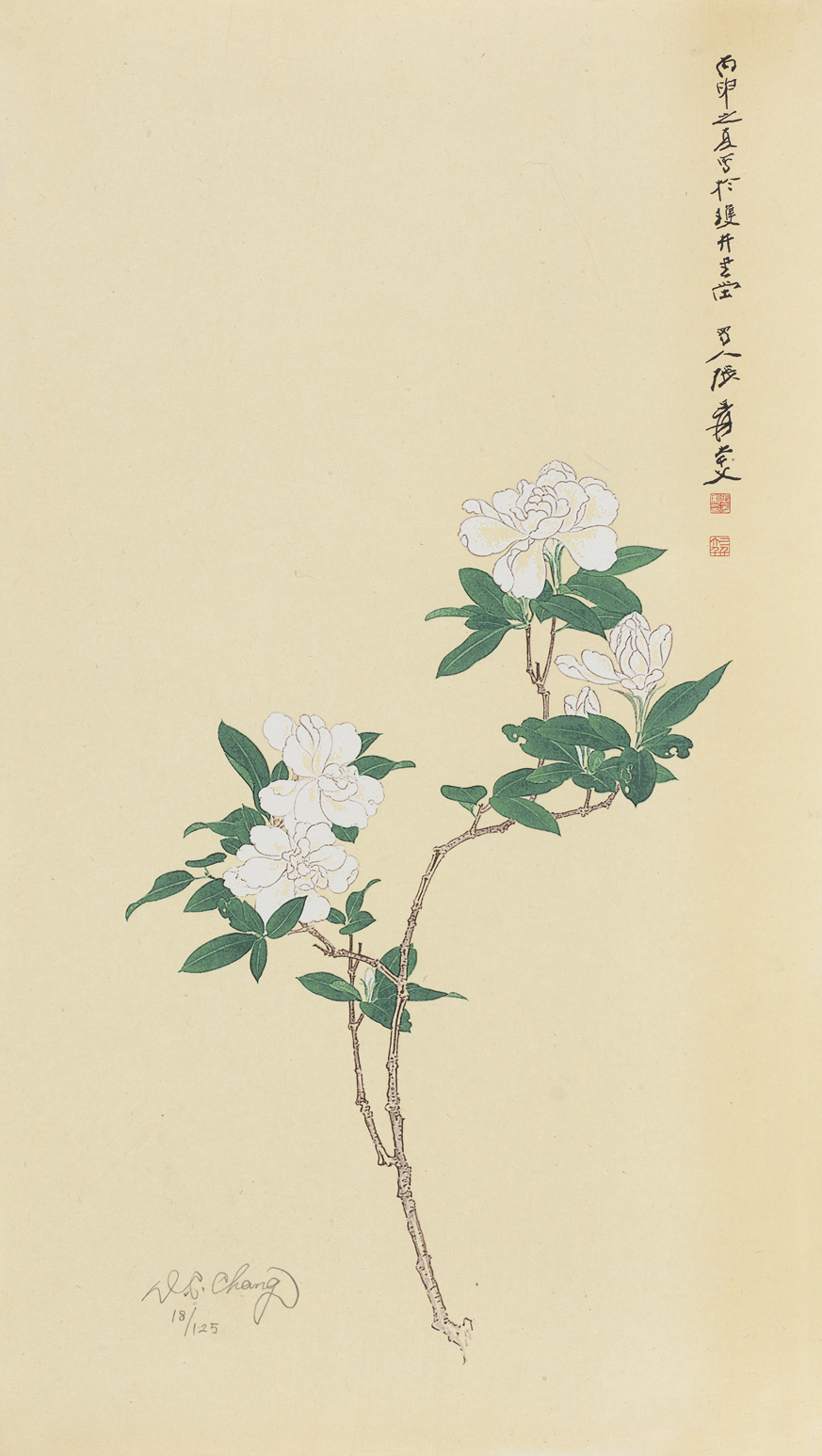 栀子花18/125