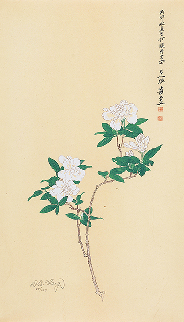 栀子花开29/125