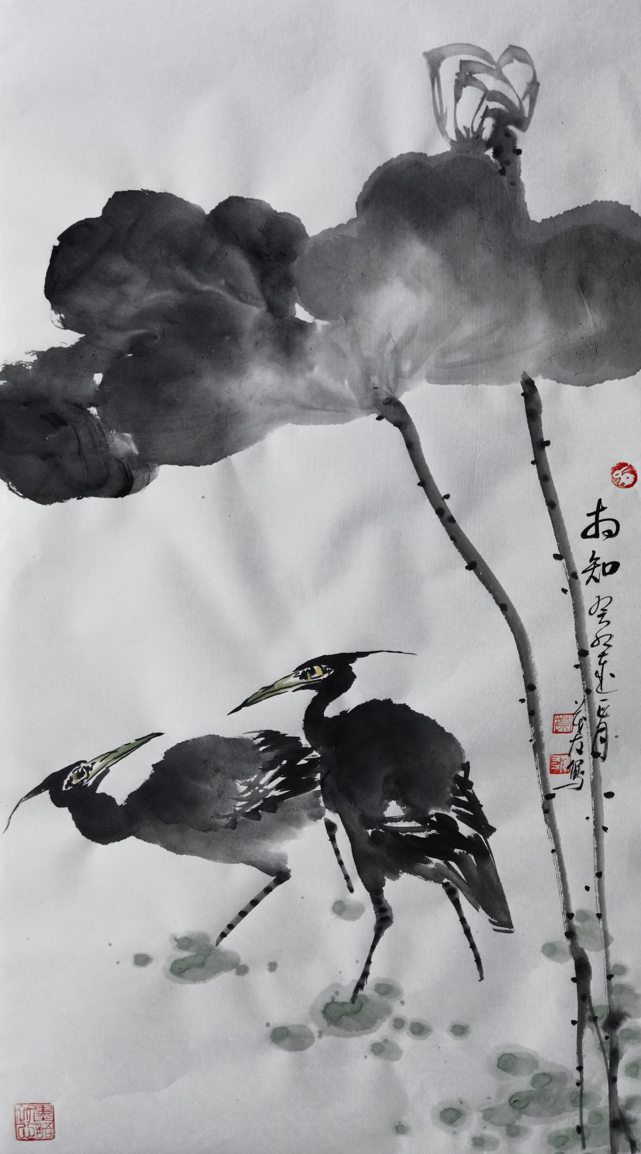 春生翠海蔡茂友癸卯年水墨花鸟作品欣赏