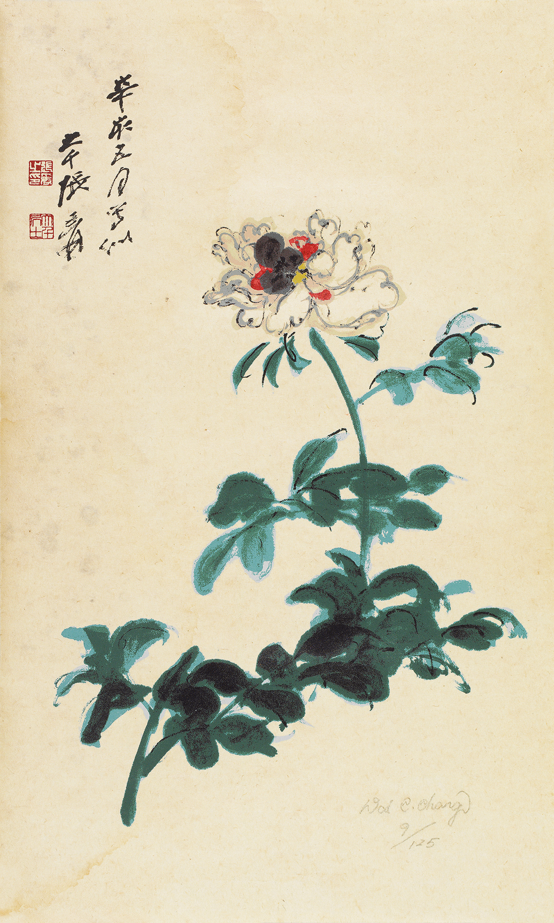 辛亥牡丹9/125
