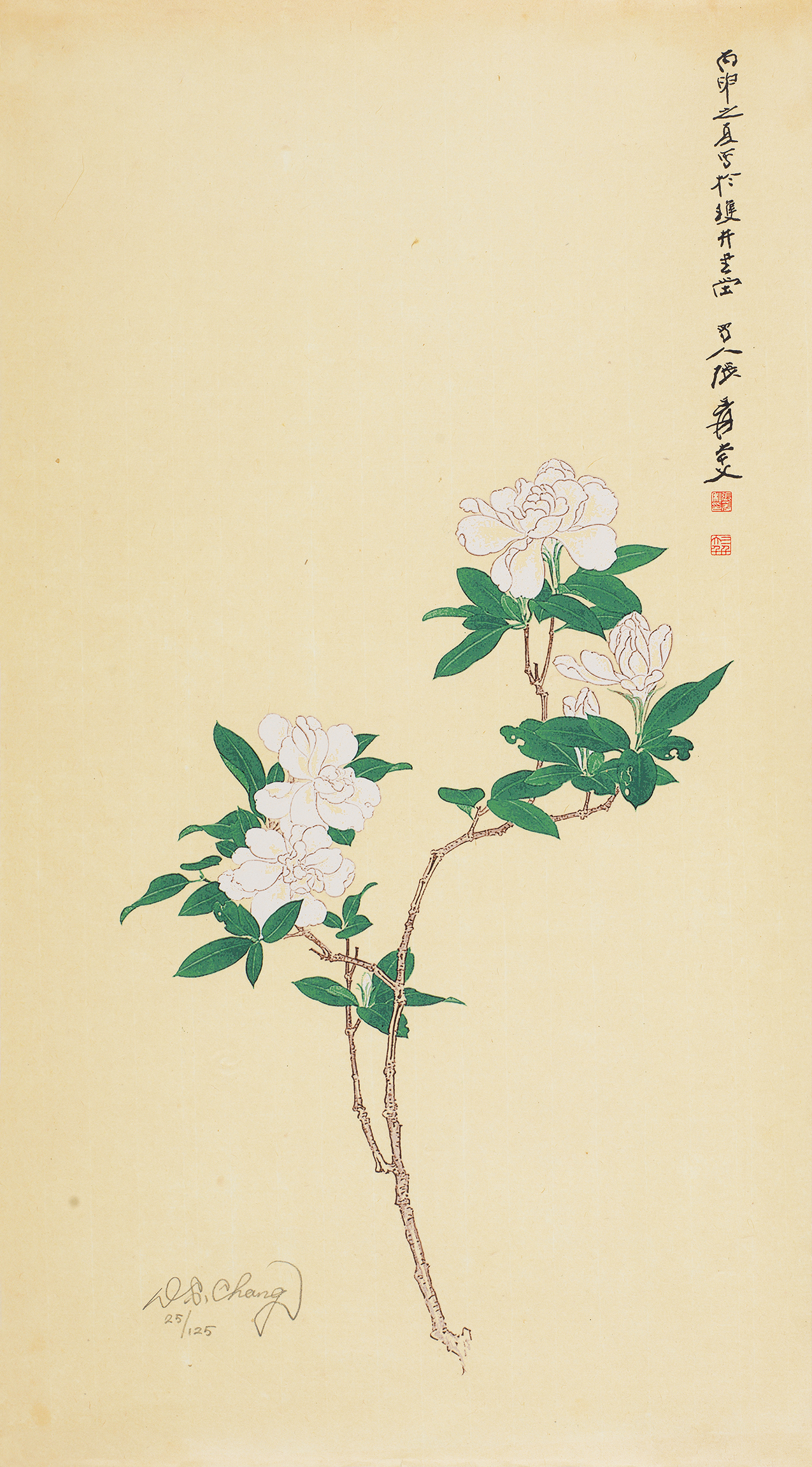 栀子花开25/125