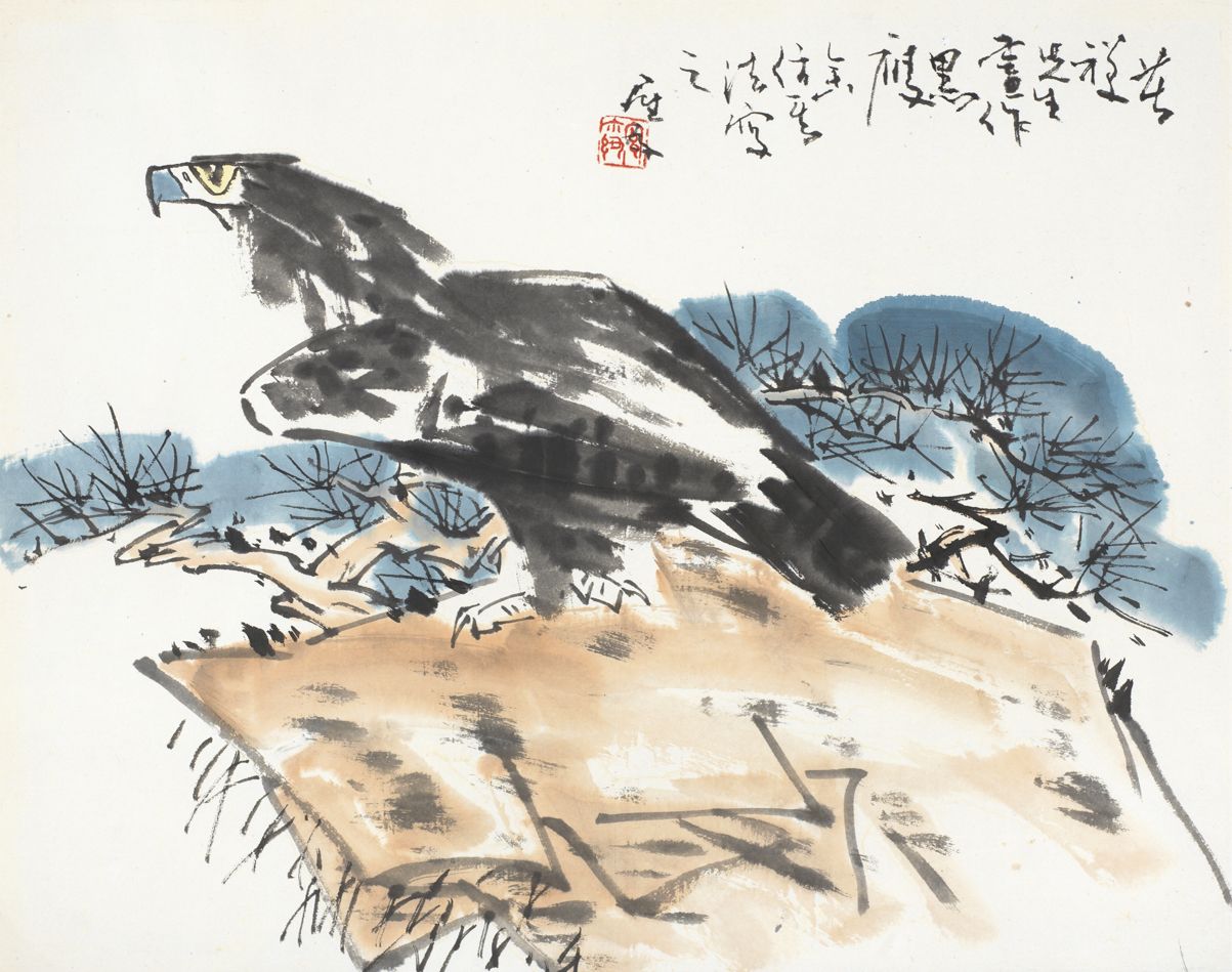 黑鹰