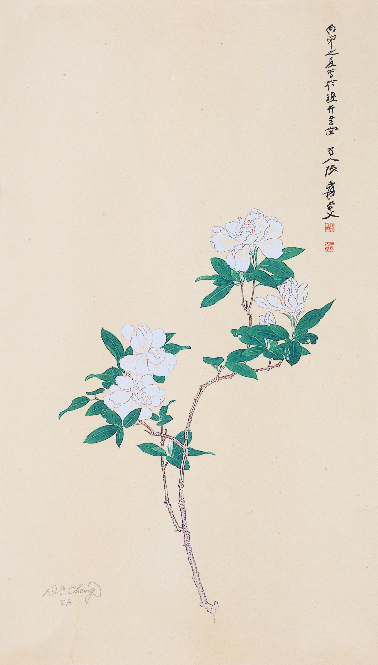 栀子花开EA
