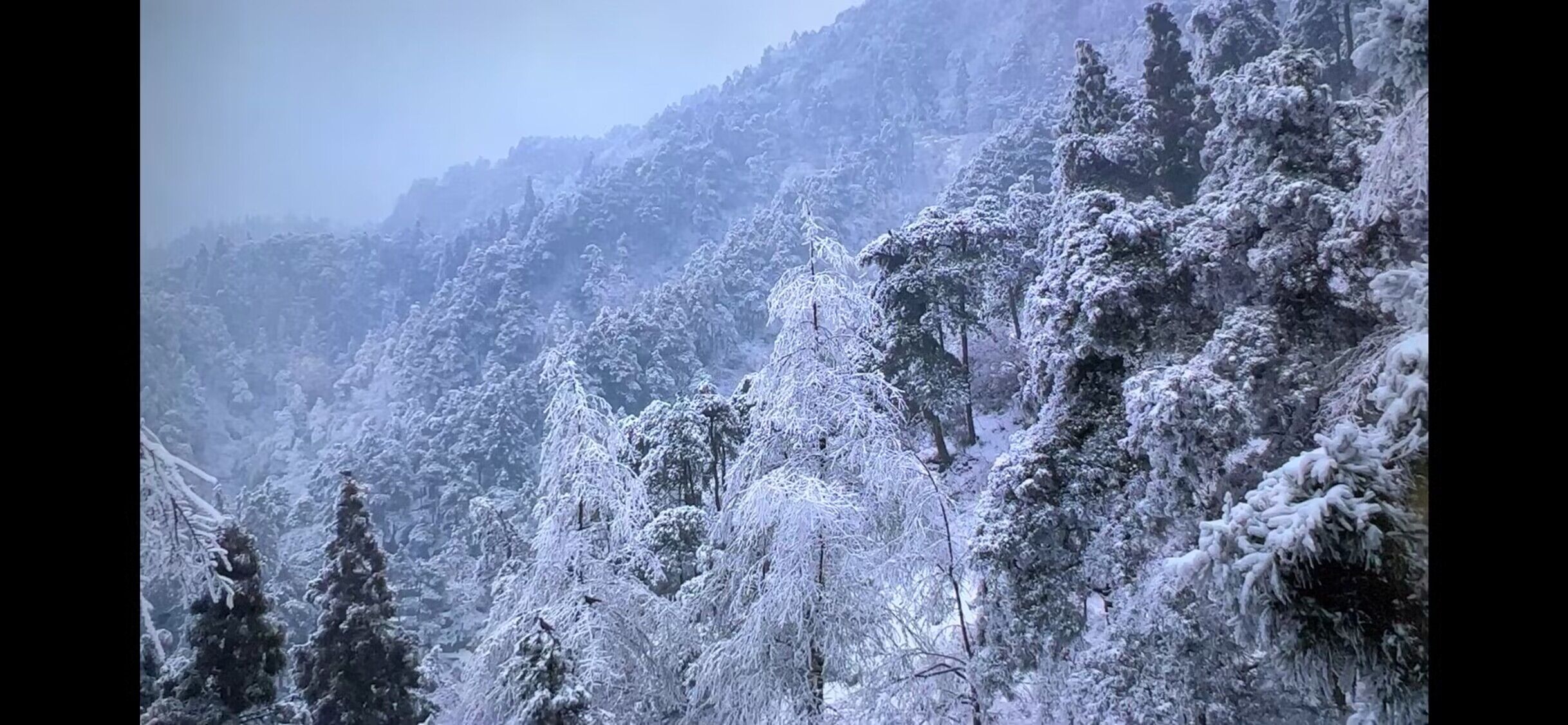 https://img10.artimg.net/public/beian/jpg/202305/cb1cf05e81e22d654fbf0c16fc476716.jpg