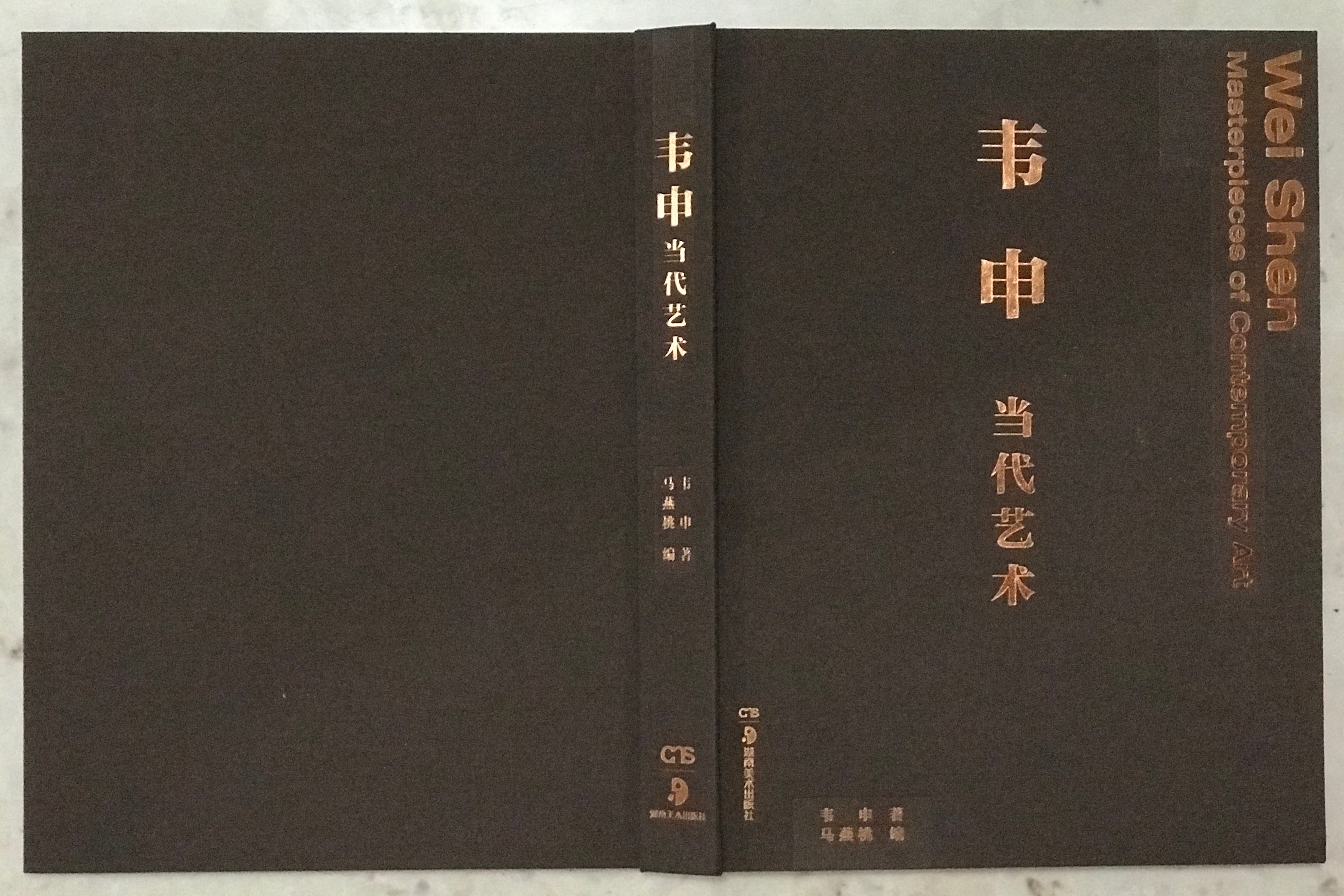 韦申当代艺术2韦申当代艺术3韦申当代艺术4韦申当代