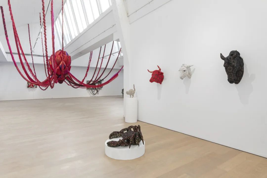 现场葡萄牙国宝级视觉艺术家琼娜瓦斯康丝勒个展山海渡国内首次呈现