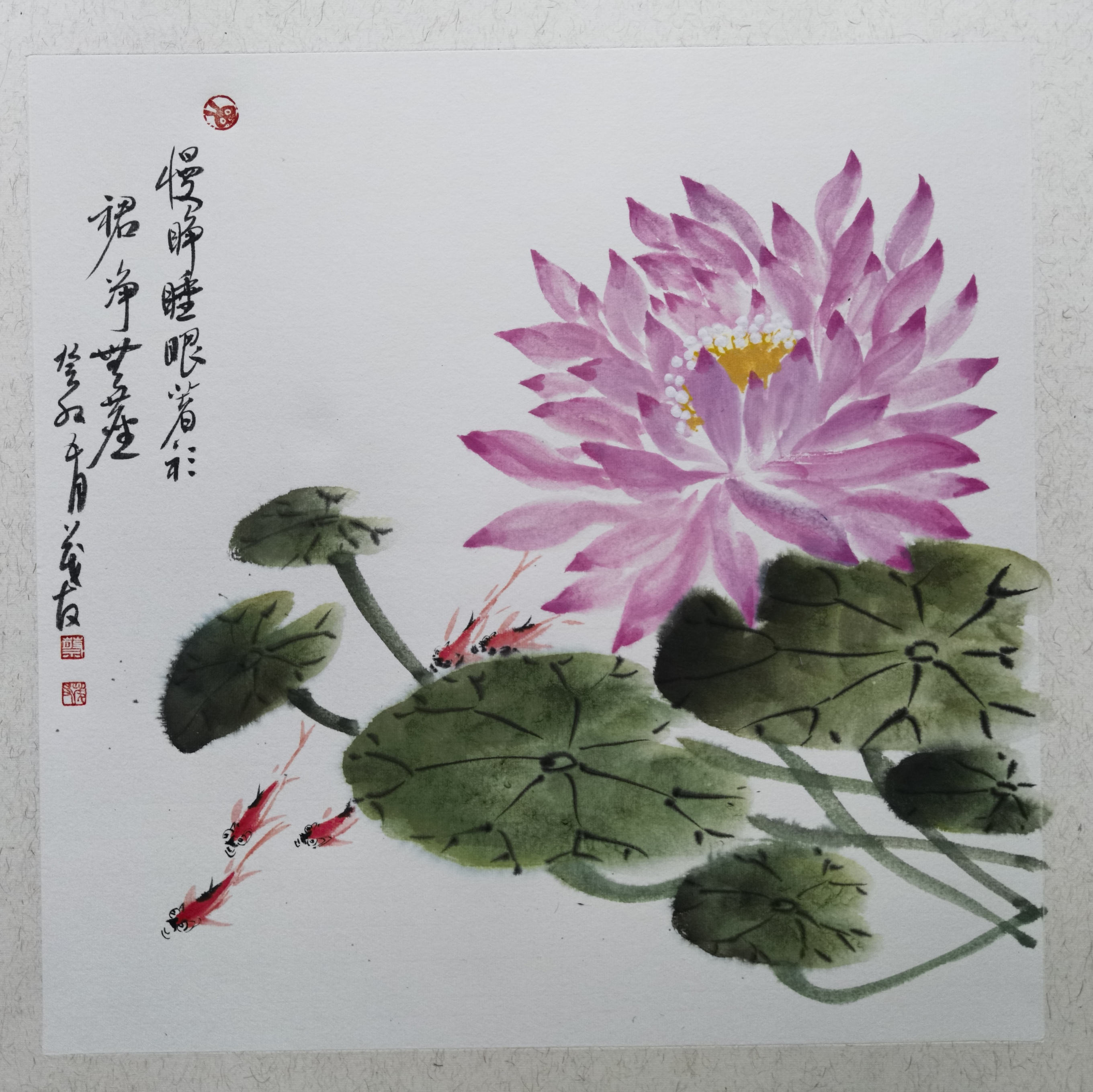 荷花水墨画优秀作品图片