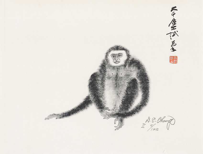 猿5/125