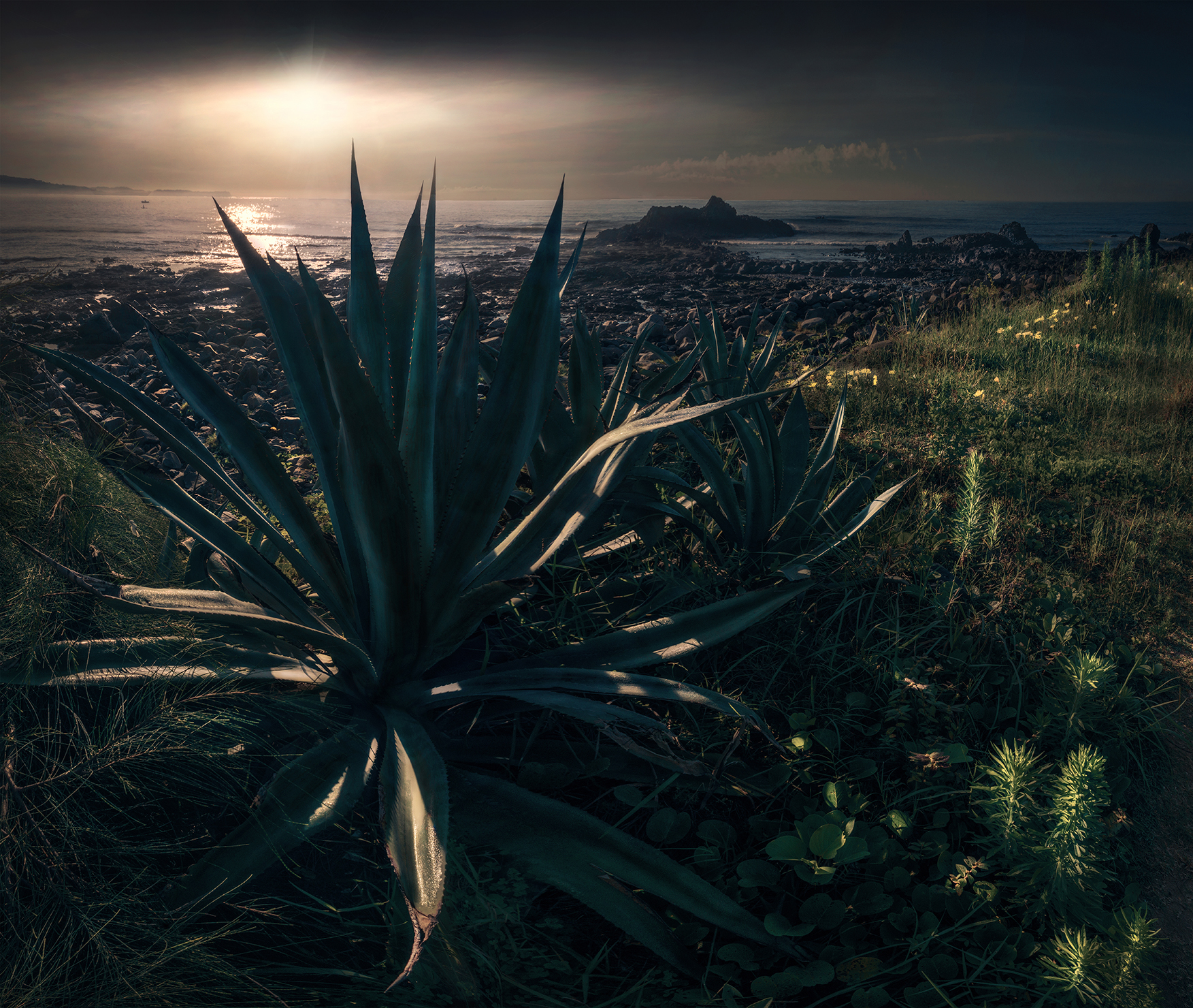 《塔琪拉剧场 Tequila Theatre》1/1