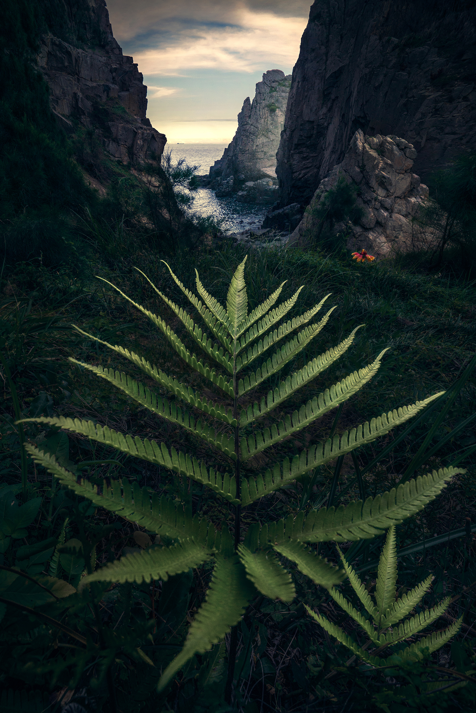 《妈妈 Mother》1/1