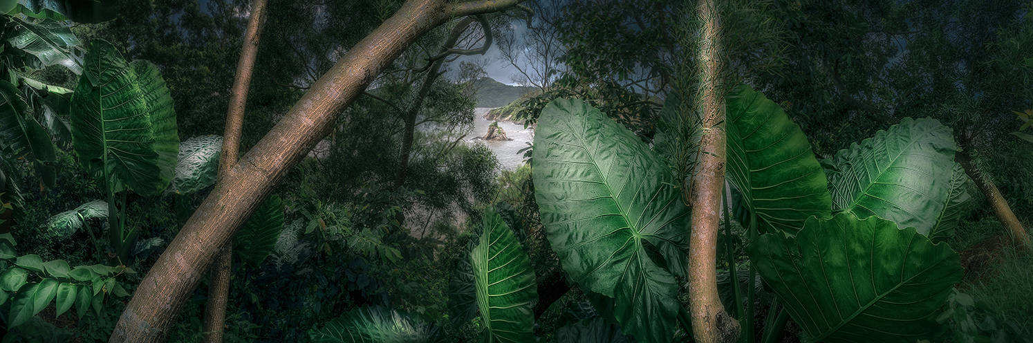 《漏雨的房间 A Leaky Room》1/1