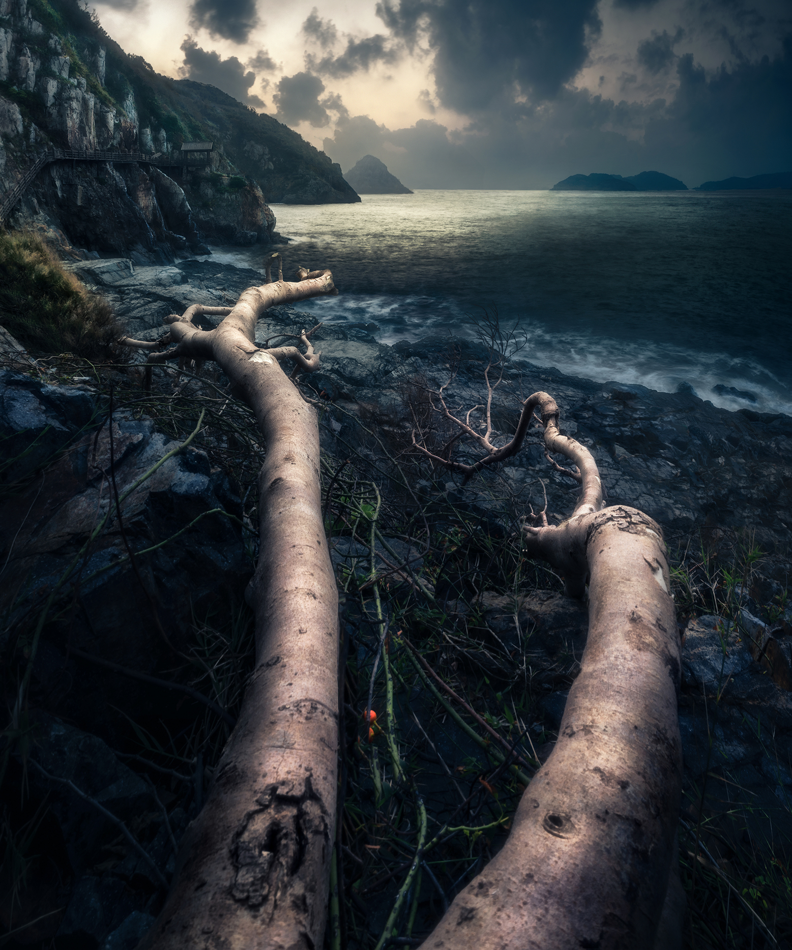 《挽歌 Elegy》1/1