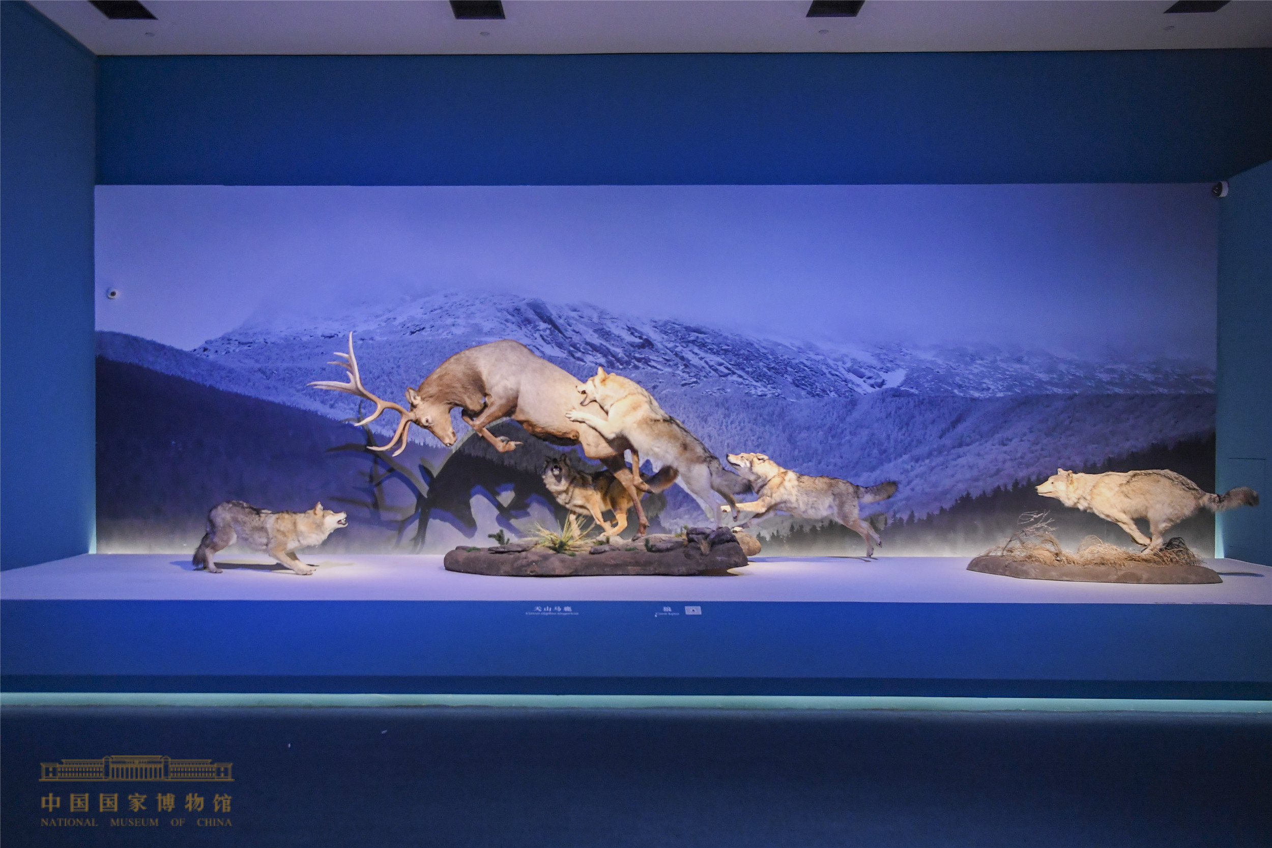 展览现场(中国国家博物馆提供)