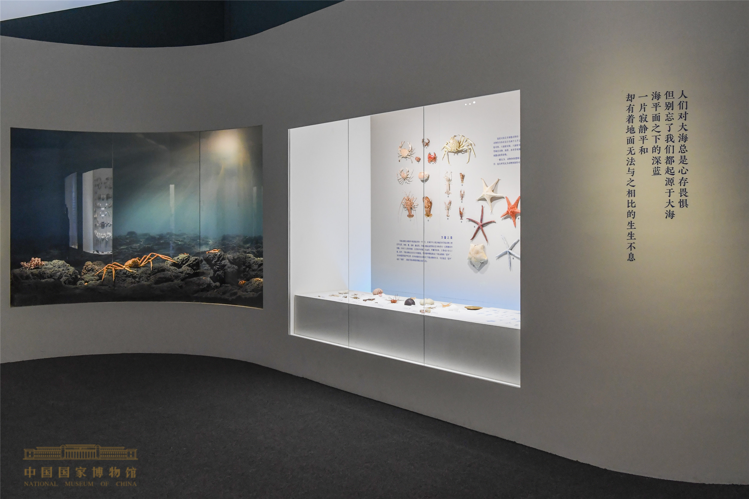 展览现场(中国国家博物馆提供)中国国家博物馆策展团队形式设计何欣