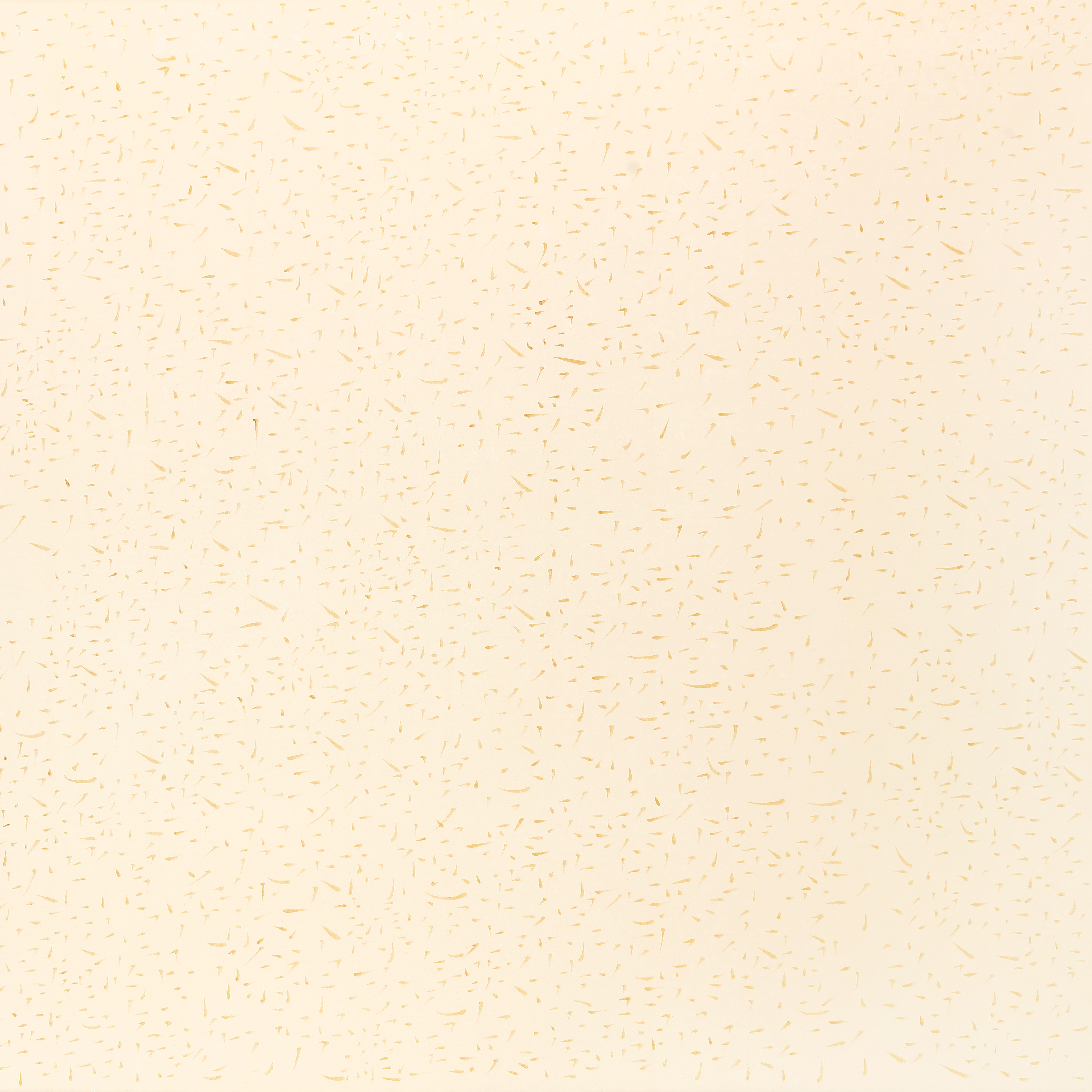 https://img10.artimg.net/public/beian/jpg/202403/255cc1756ca9d7418a616b3574359793.jpg