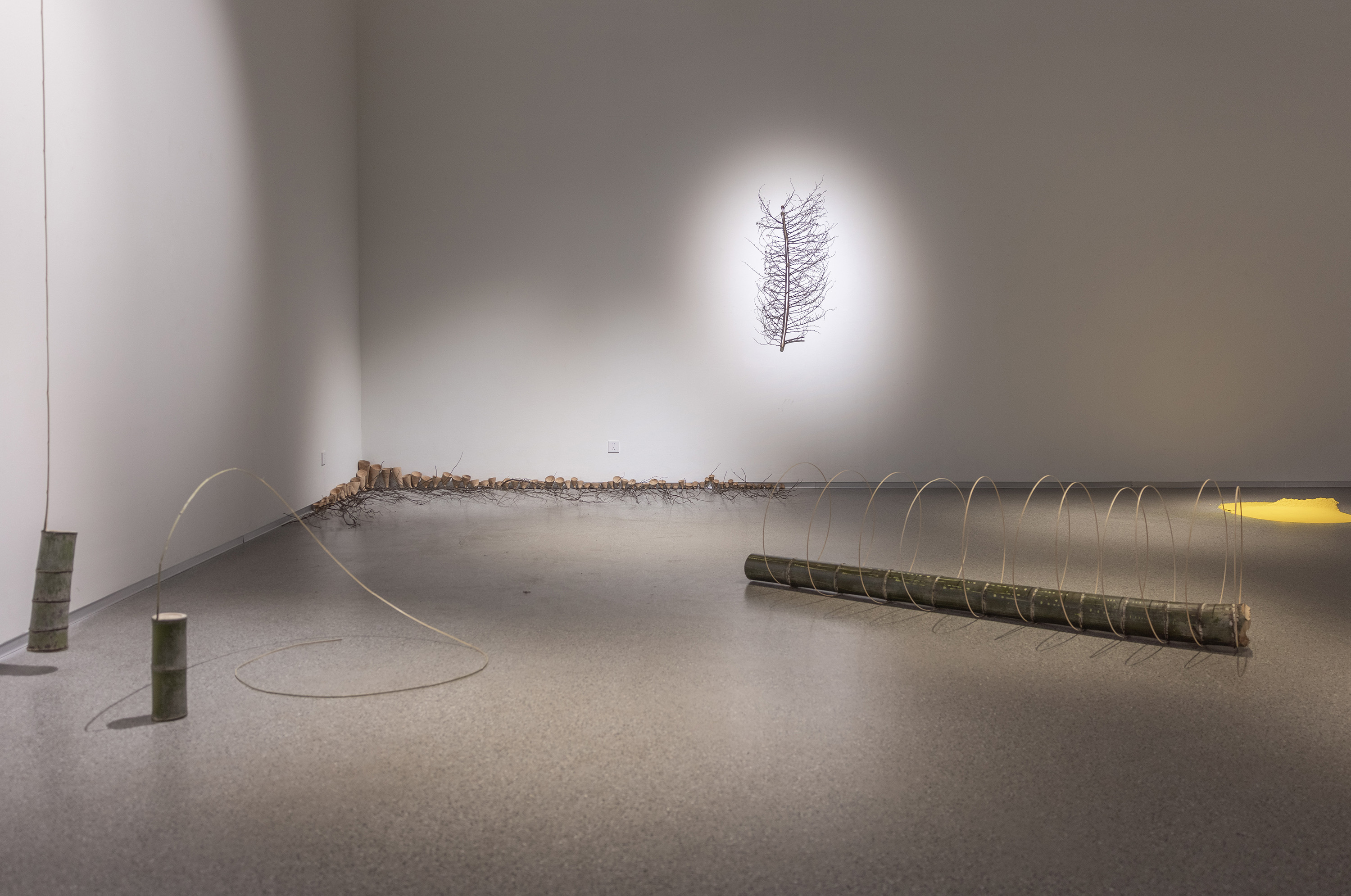 浙江衢州美术馆当代艺术邀请展龙的转身激活和感受生命的觉知