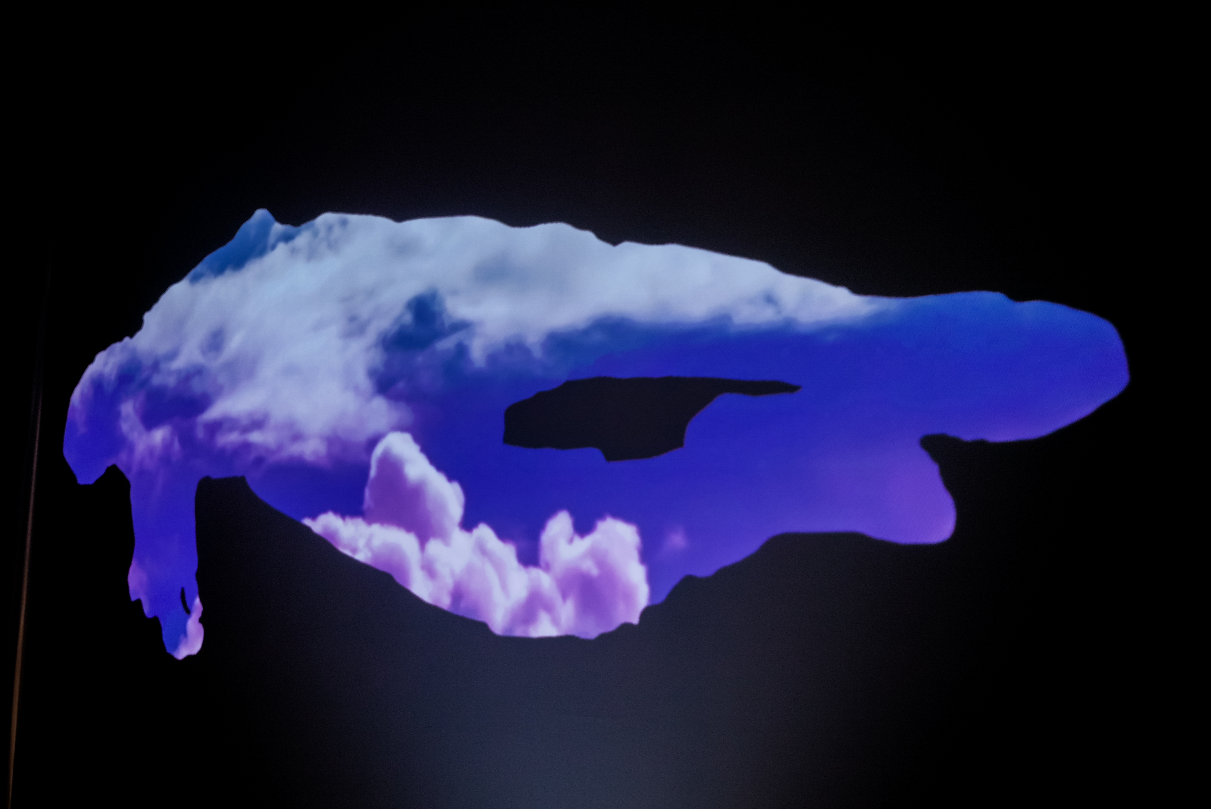 挖掘艺术界未来的璀璨星辰 | 与莱俪青年艺术奖获奖