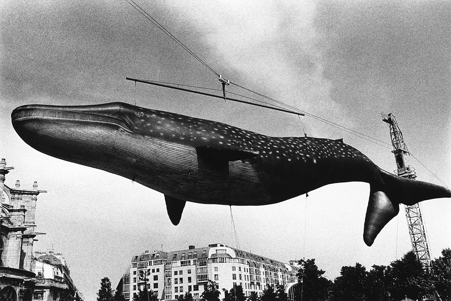 2024 jingart艺览北京将于5月23日亮相skp-s 亮点作品提前看