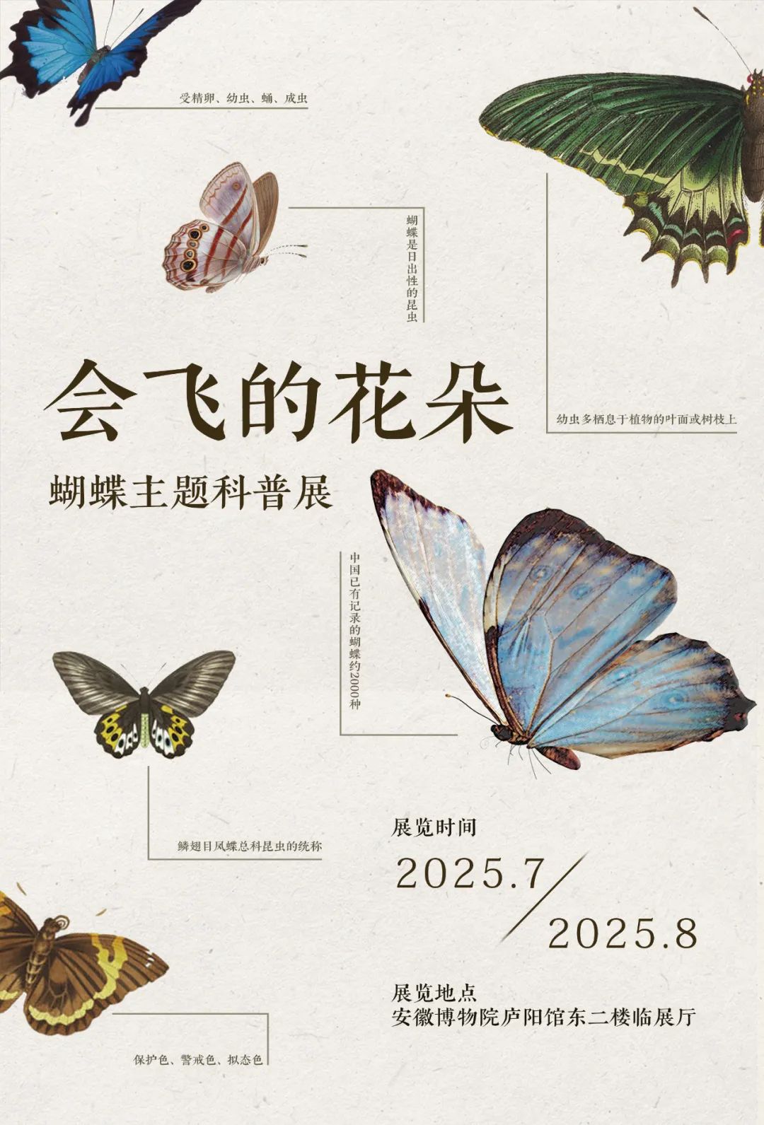 https://img10.artimg.net/public/beian/jpg/202501/559fe3e841c79ddc799dcdaf6a376132.jpg