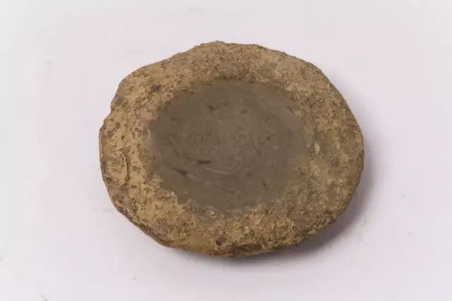 https://img10.artimg.net/public/beian/jpg/202501/d1779ad06cc527bbb53a35d8672bd1ee.jpg