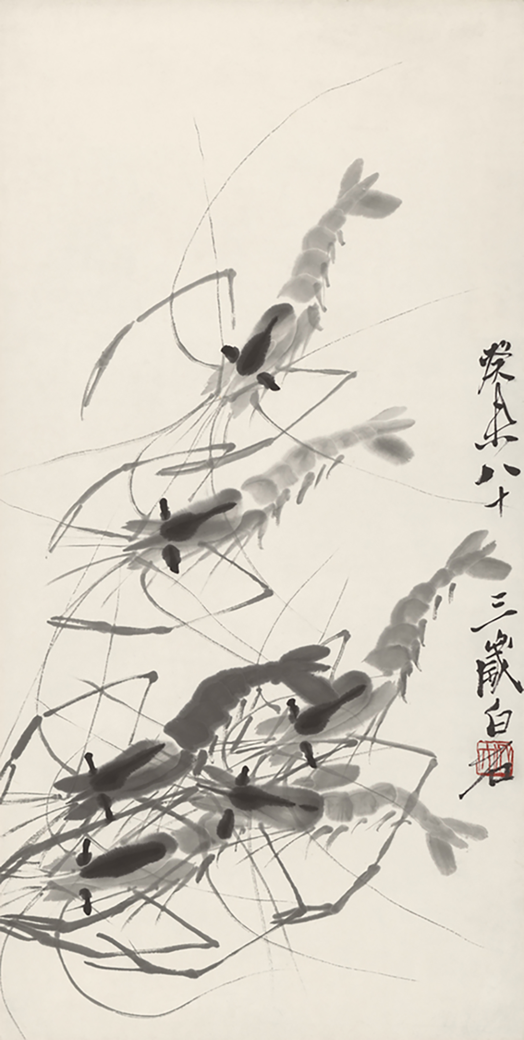 游虾图二66/99