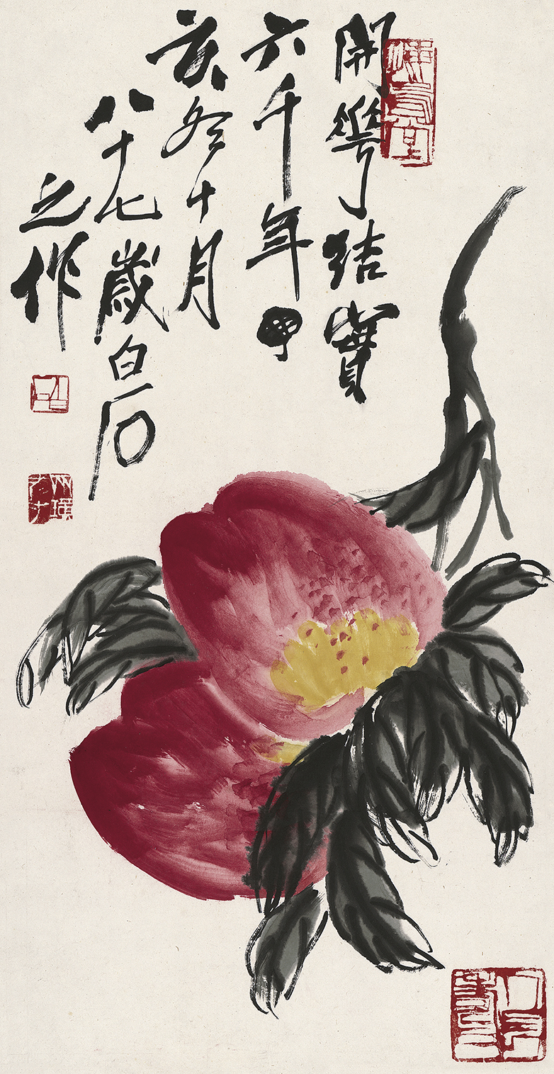 长寿果图66/99