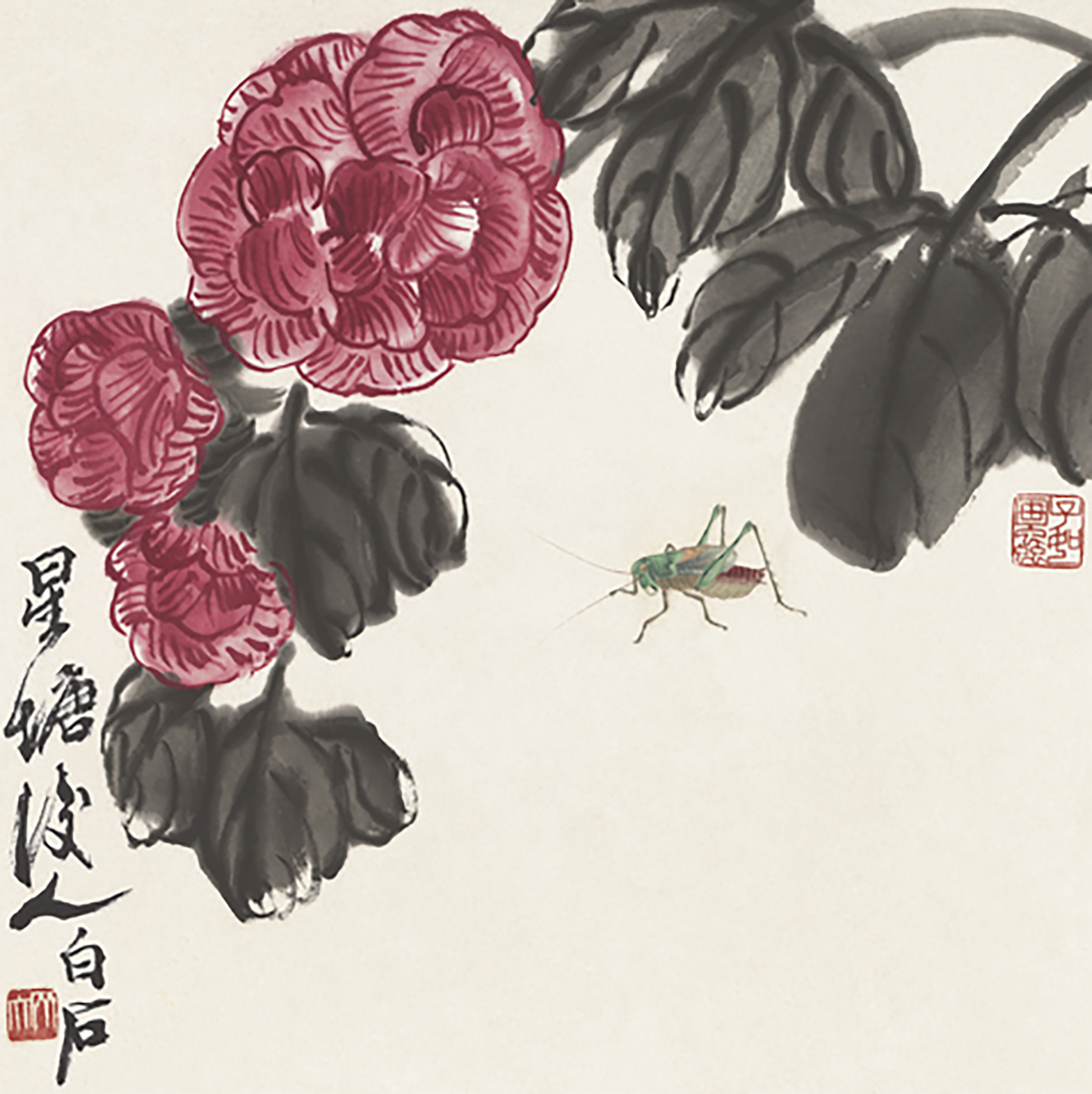 芙蓉纺织娘图54/99