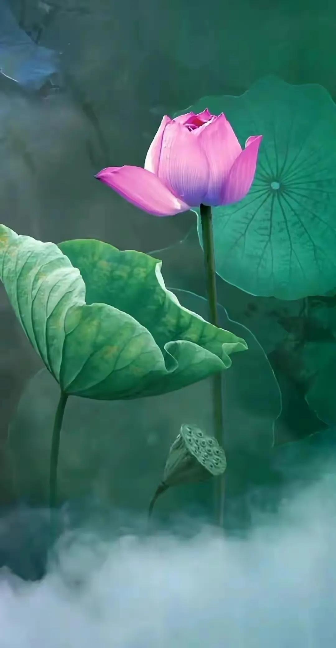 https://img10.artimg.net/public/beian/jpg/202508/6ff550090c68fb73c2db822d3e15c2c2.jpg
